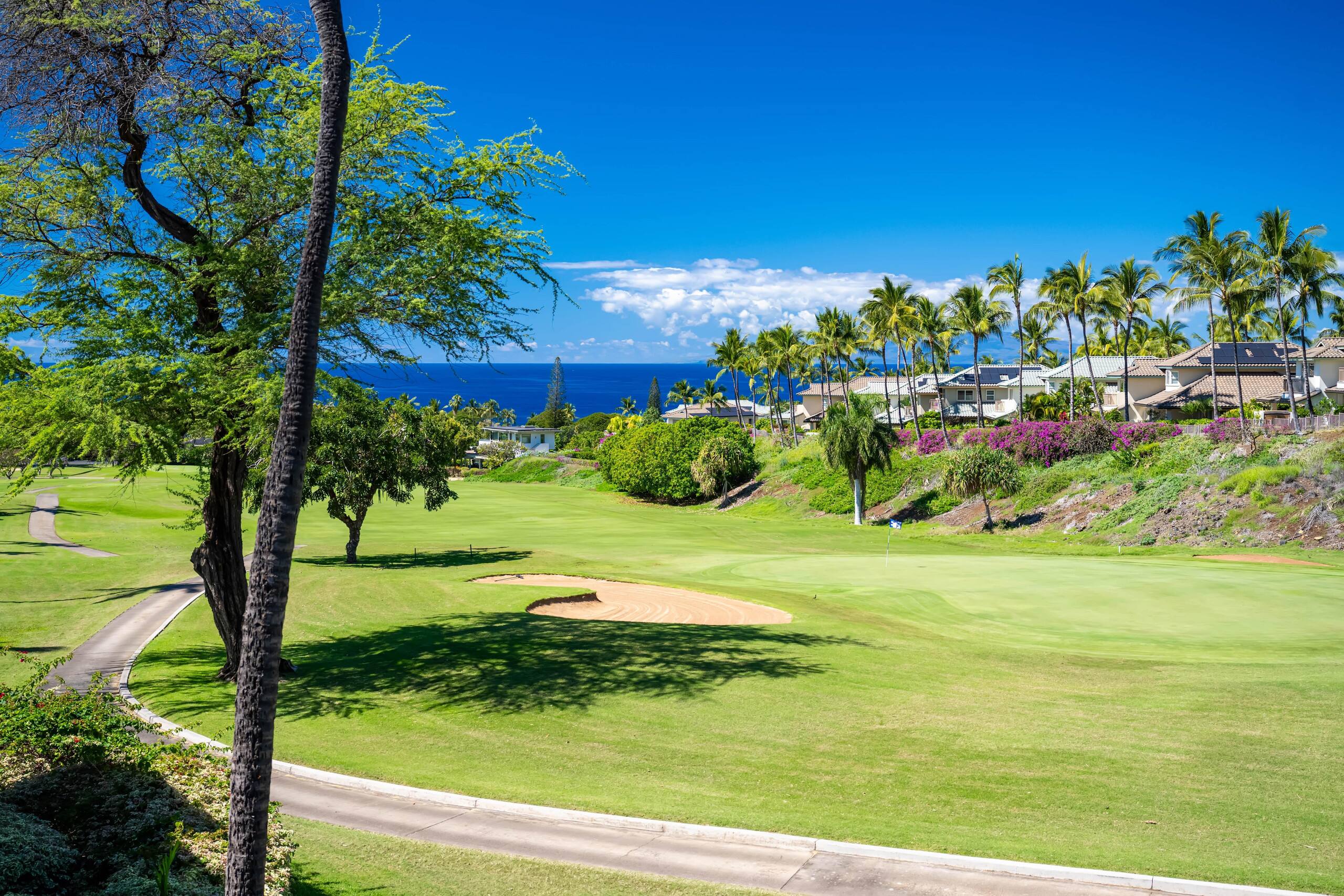 Condo in Wailea · ★5.0 · 2 bedrooms · 3 beds · 2 private baths - Image 71