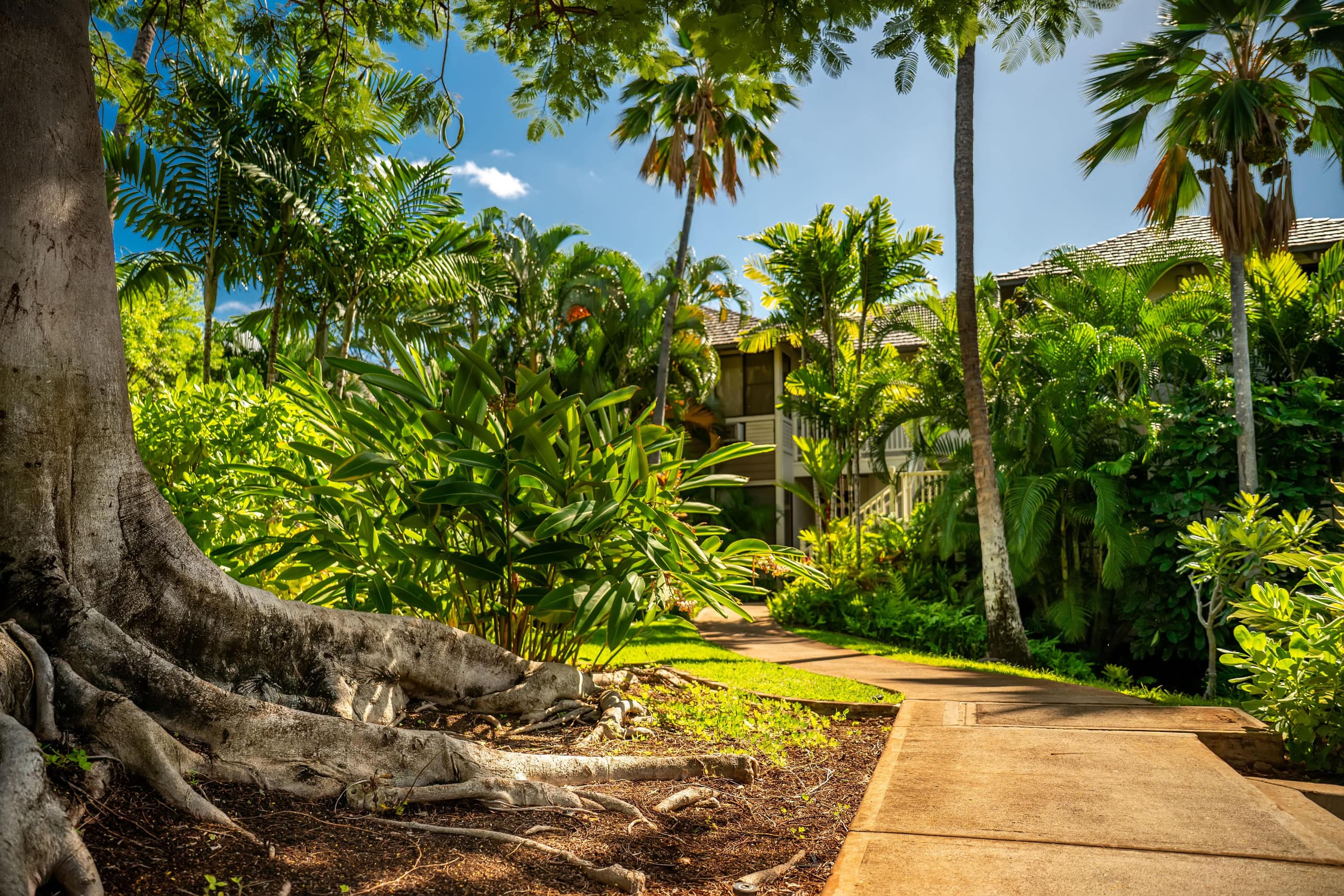 Condo in Wailea · ★5.0 · 2 bedrooms · 3 beds · 2 private baths - Image 21
