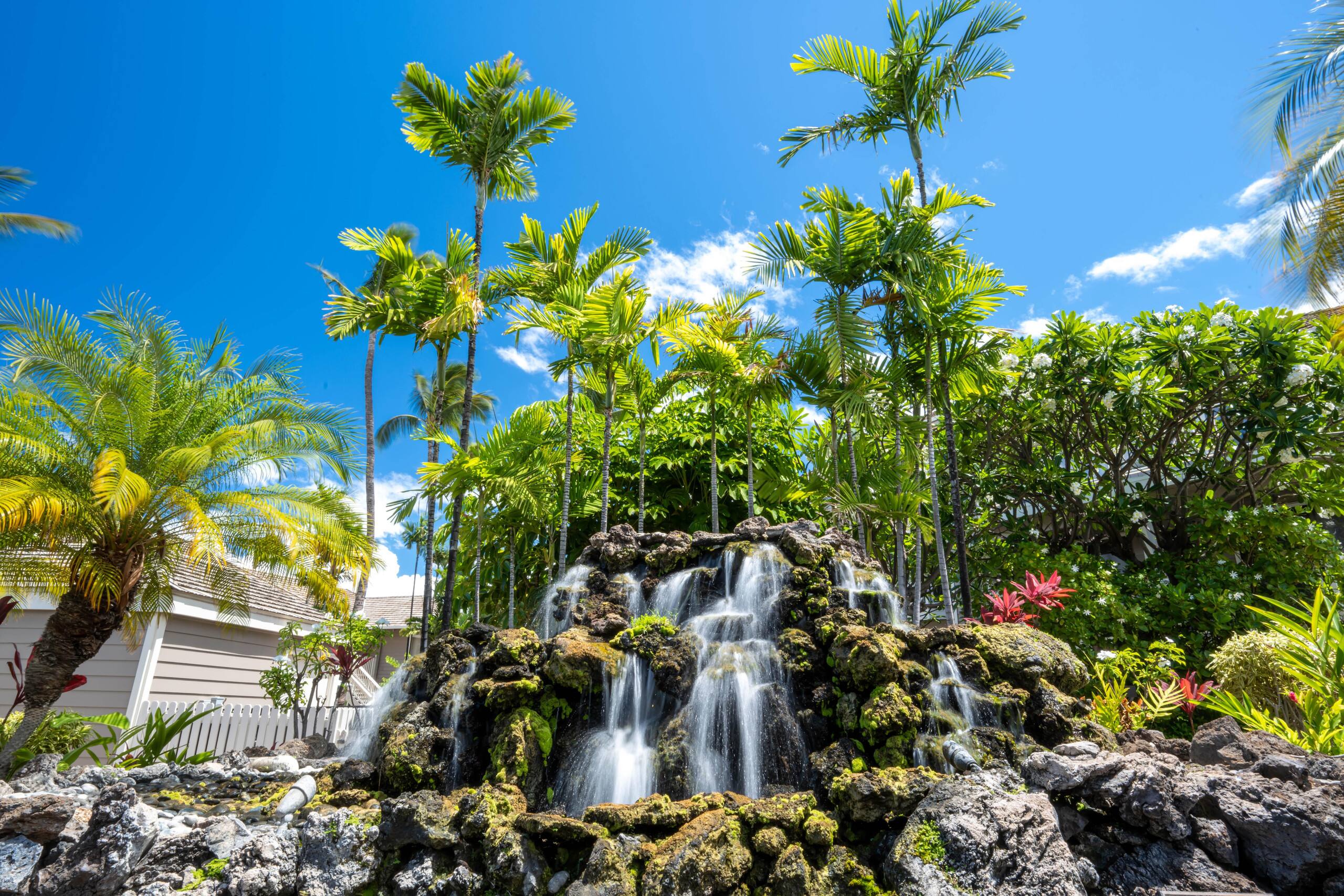 Condo in Wailea · ★5.0 · 2 bedrooms · 3 beds · 2 private baths - Image 46