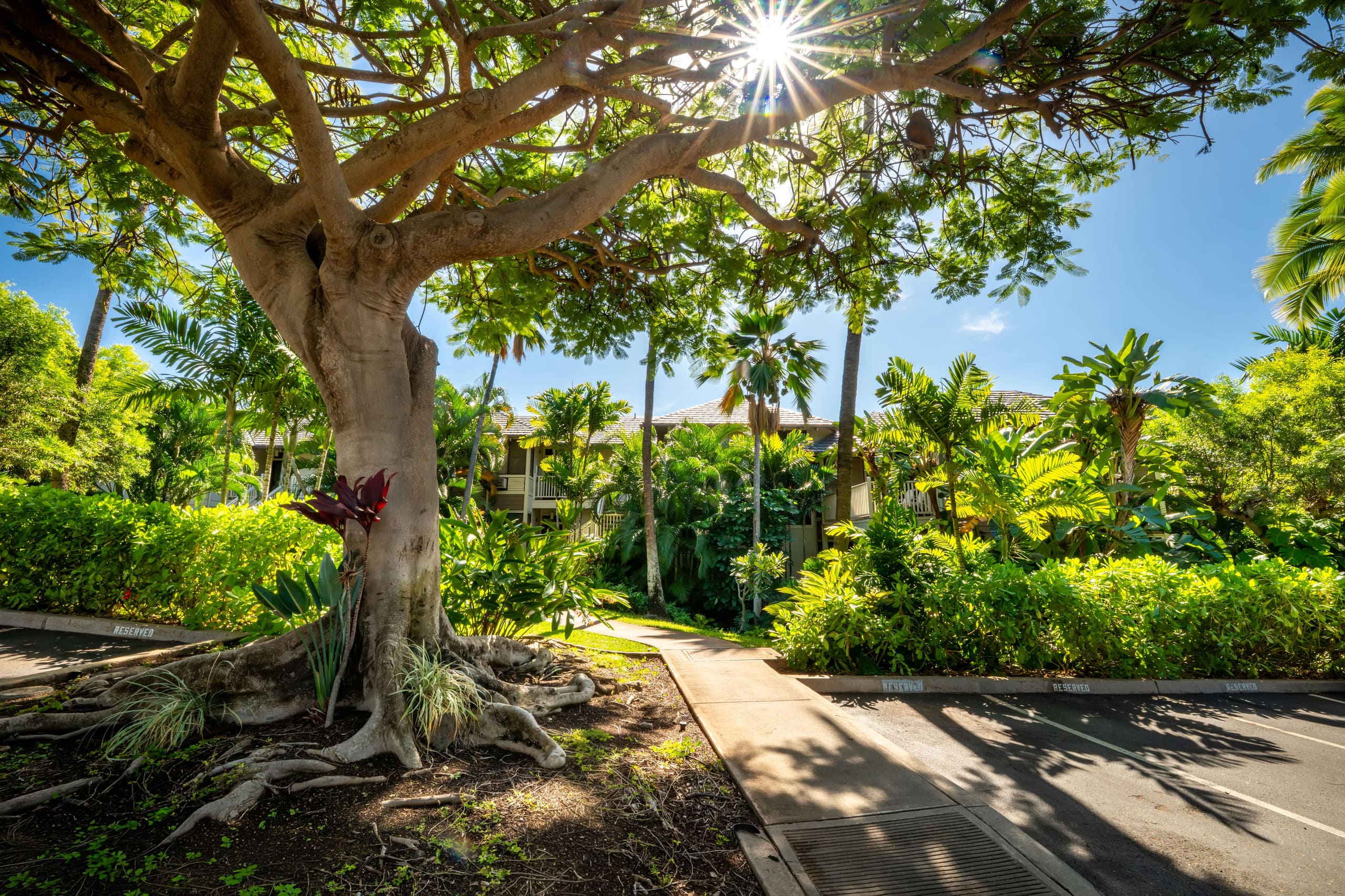 Condo in Wailea · ★5.0 · 2 bedrooms · 3 beds · 2 private baths - Image 25