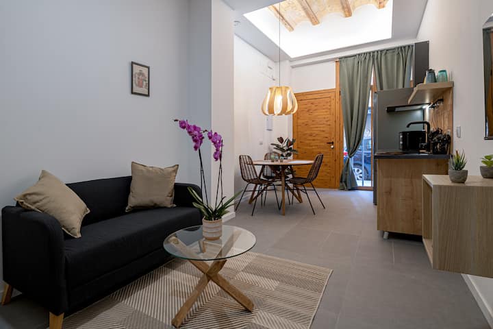 Loft With Large Terrace Near Center Ap5 - Valencia