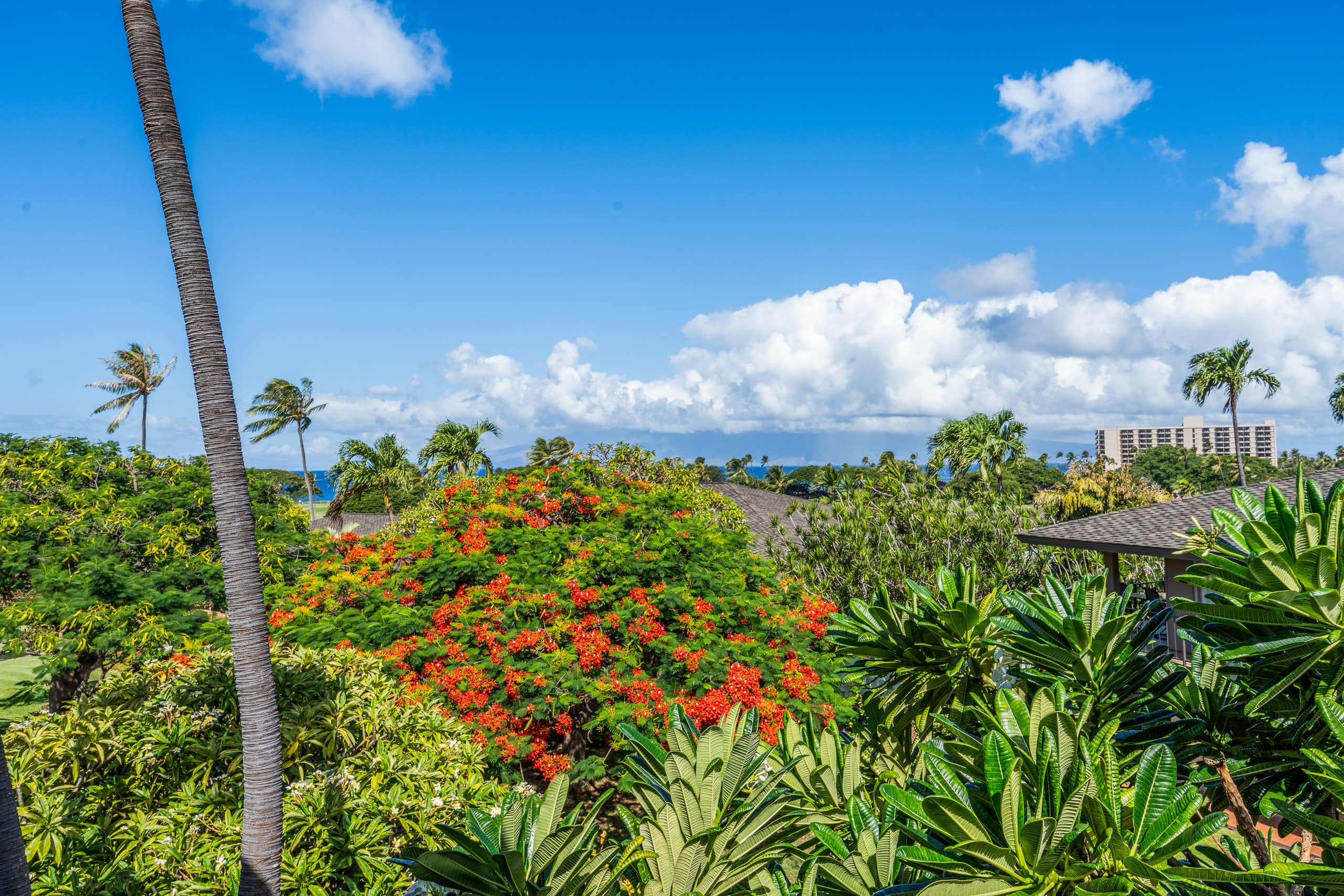Condo in Lahaina · ★5.0 · 1 bedroom · 2 beds · 1 bath - Image 30