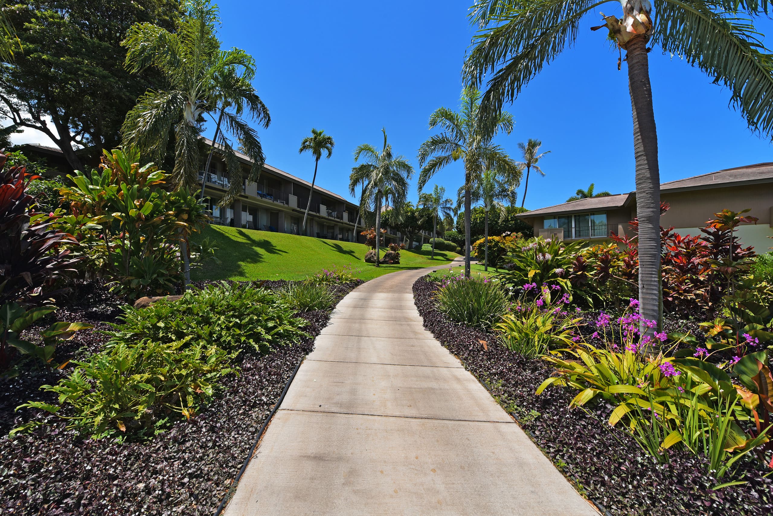 Condo in Lahaina · ★5.0 · 1 bedroom · 2 beds · 1 bath - Image 20