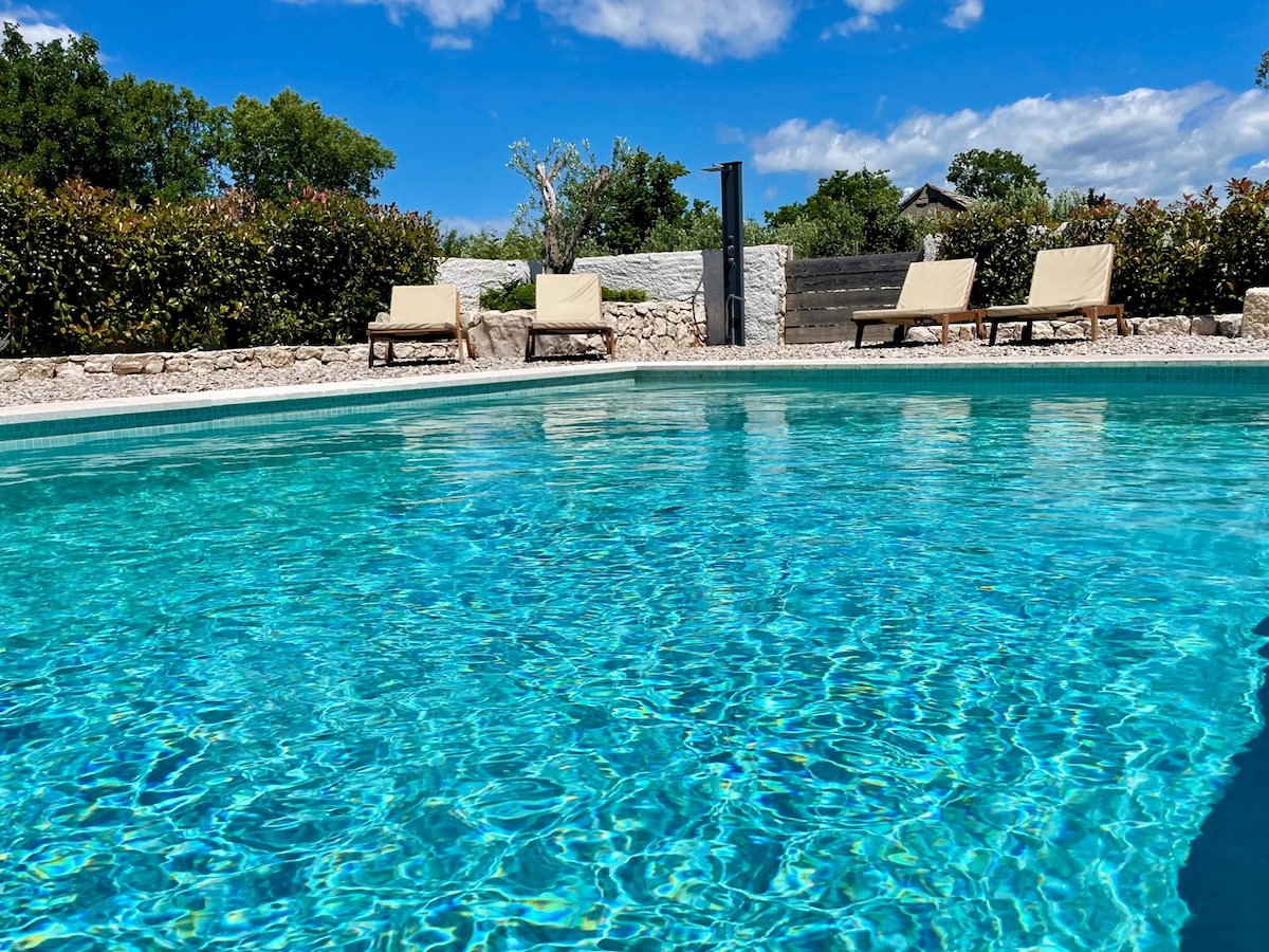 A private heated pool is surrounded by a stone deck, featuring four lounge chairs positioned around its perimeter. Lush greenery and shrubs provide a natural backdrop, while the clear blue water reflects the sunlight under a bright sky.