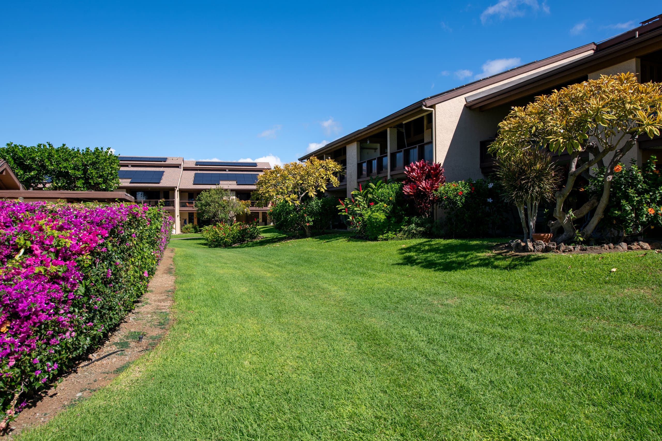 Charming 1-Bedroom Condo in Waikoloa - Photo 6