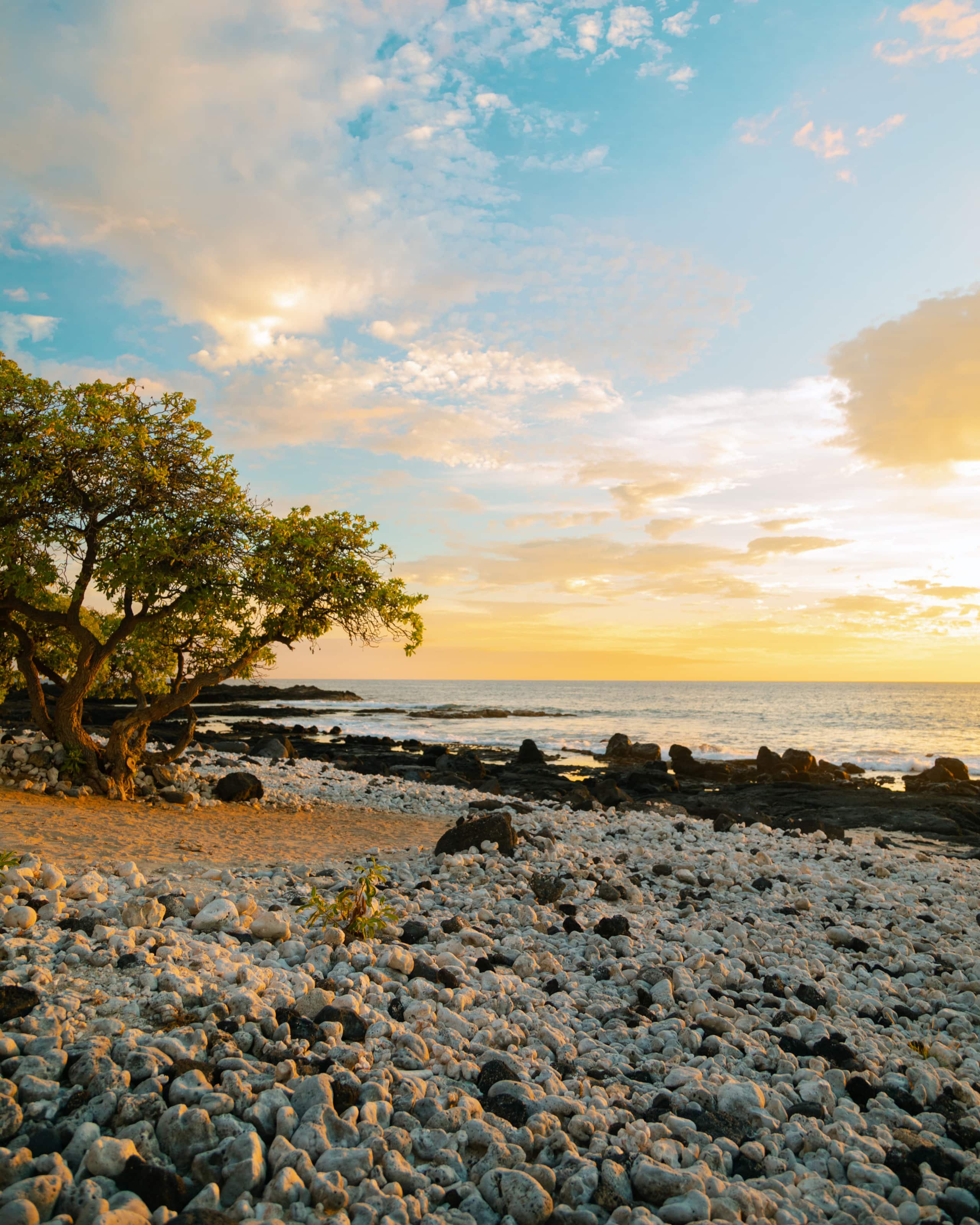 Charming 1-Bedroom Condo in Waikoloa - Photo 66