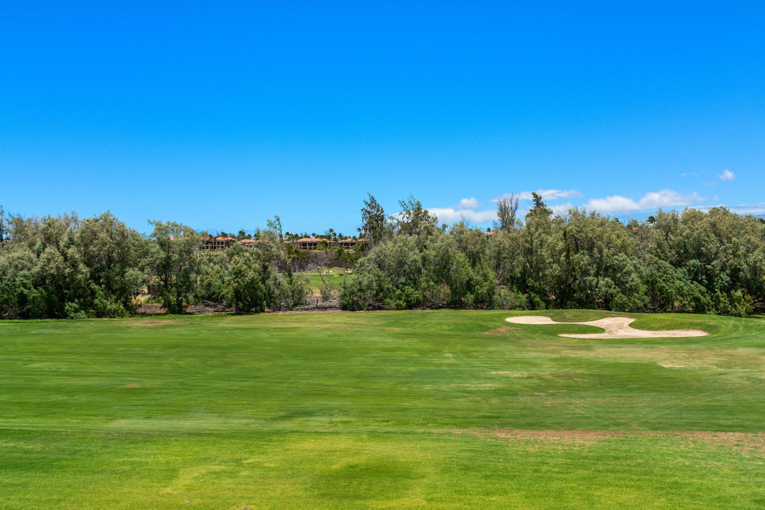 Includes Beach Gear E34 Waikoloa Fairway Villas - Photo 47