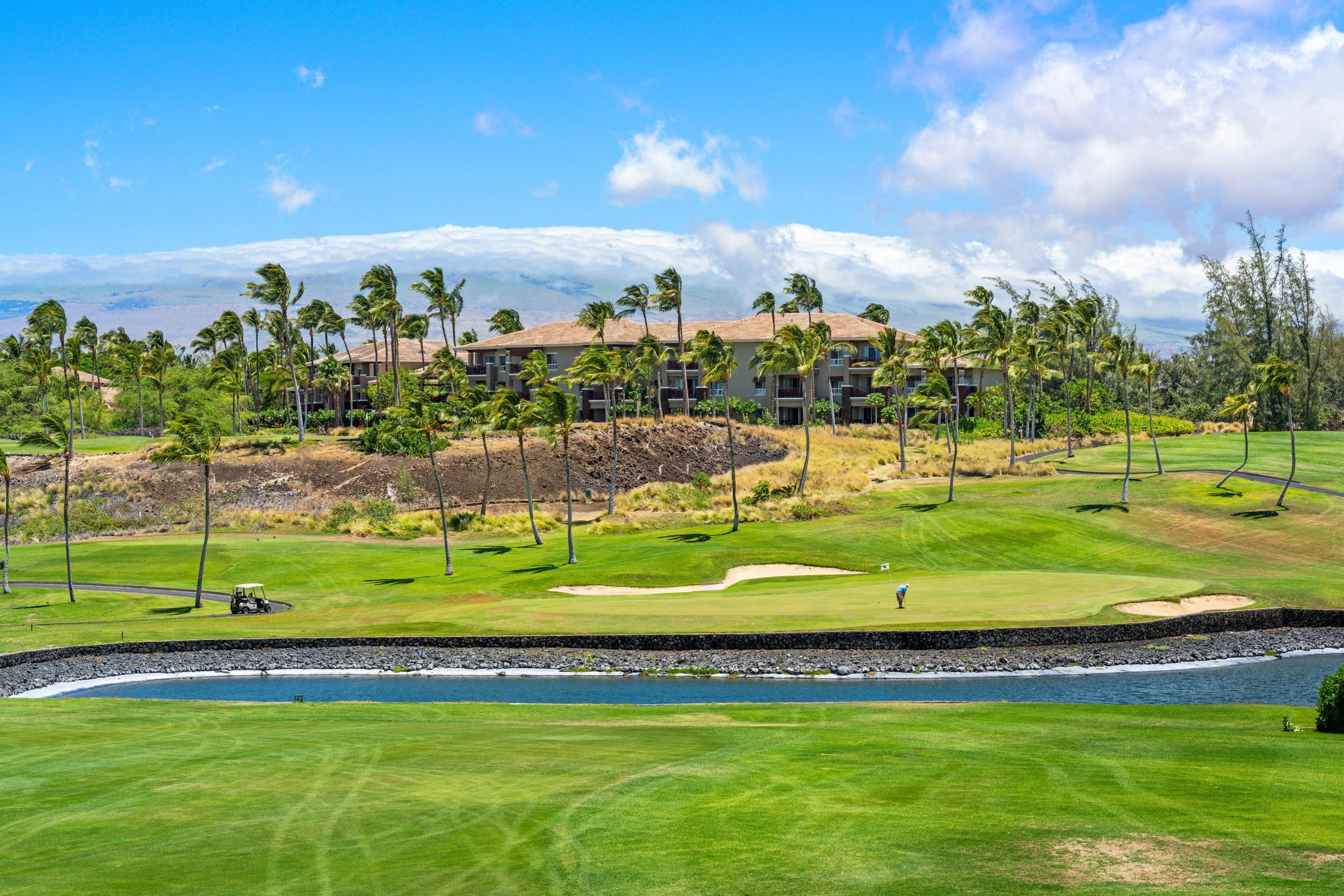 Includes Beach Gear E34 Waikoloa Fairway Villas - Photo 45