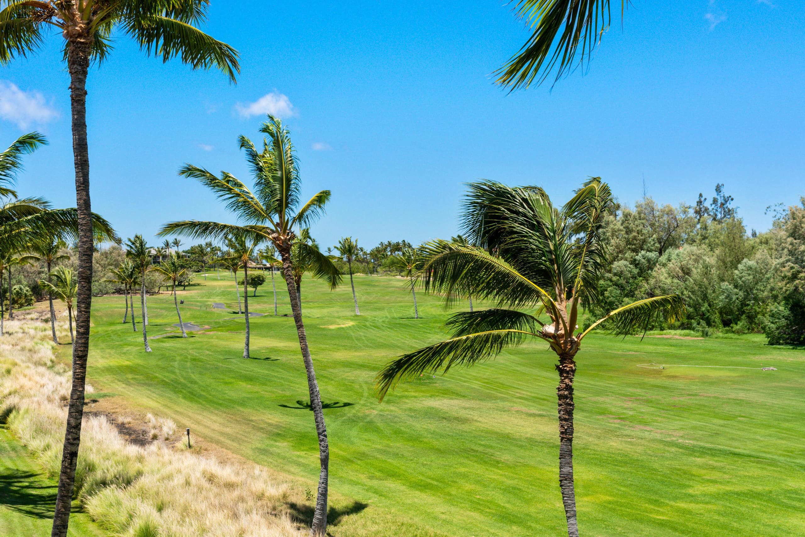 Includes Beach Gear E34 Waikoloa Fairway Villas - Photo 46