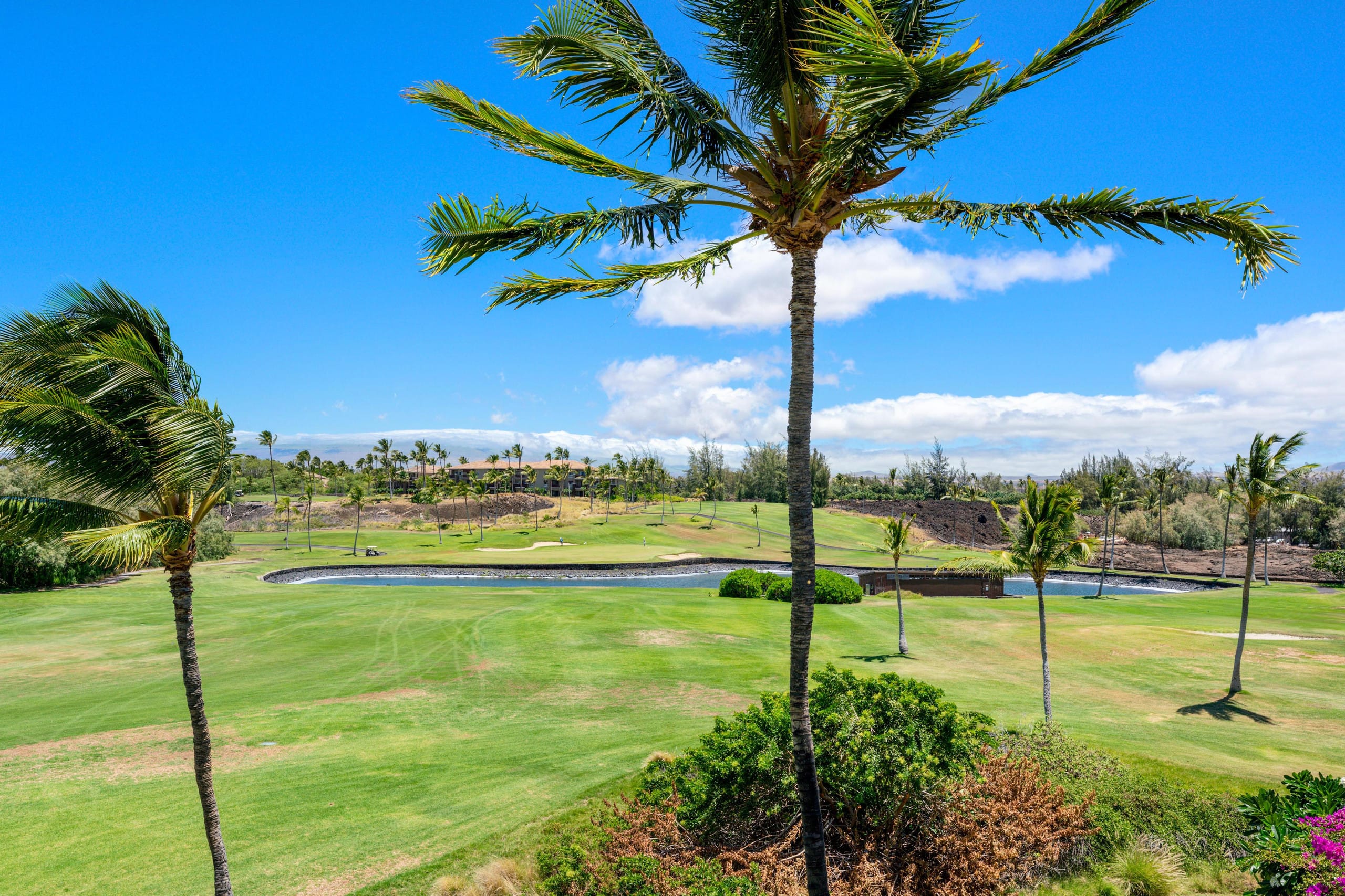 Includes Beach Gear E34 Waikoloa Fairway Villas - Photo 44