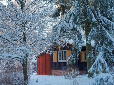 Forest-Edge Apartment