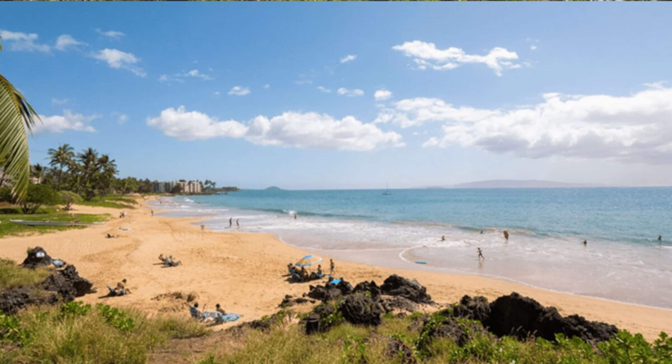 Condo in Kihei · ★4.83 · 2 bedrooms · 3 beds · 2 baths - Image 50
