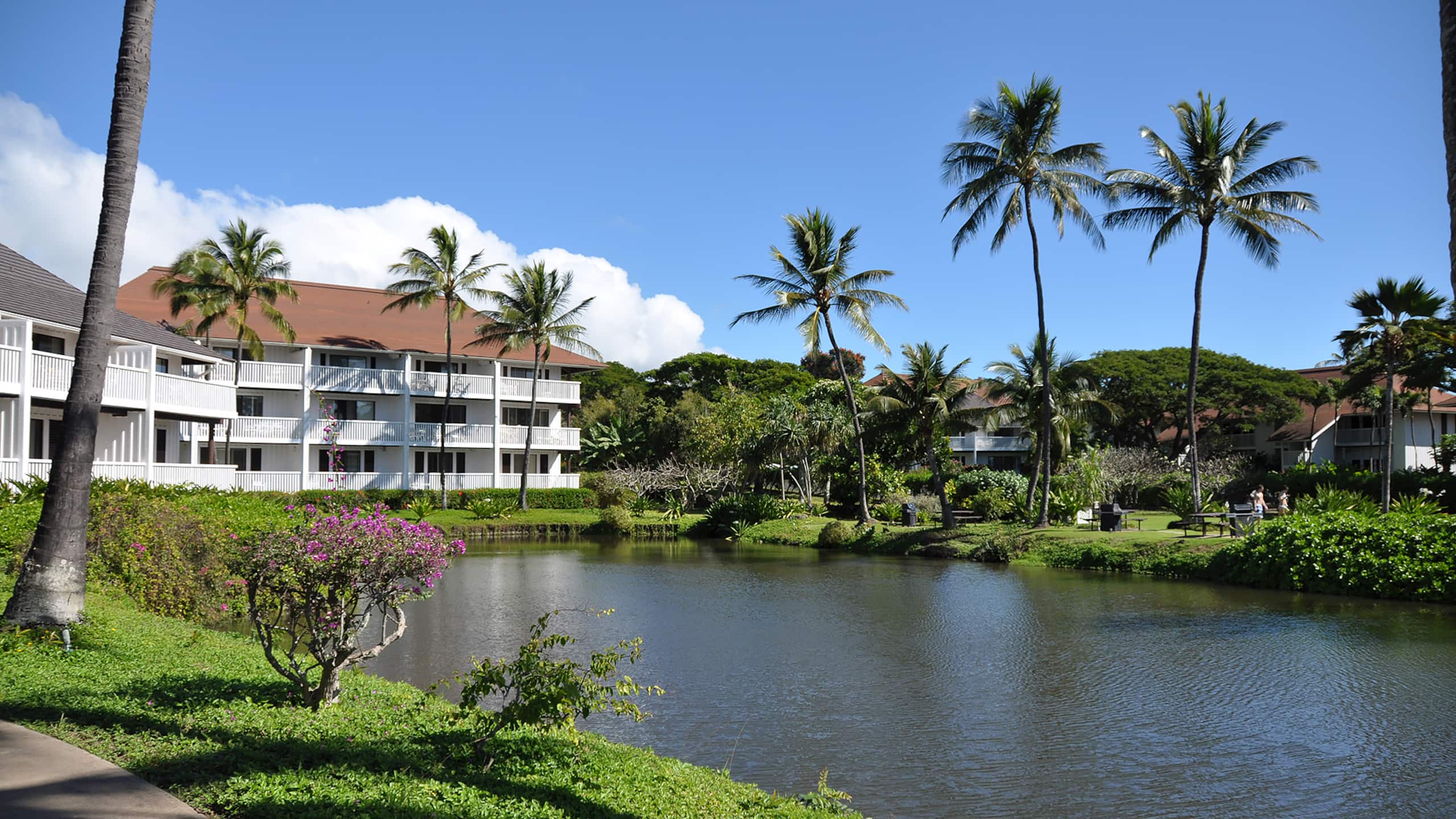 Kiahuna Plantation 031 By Parrish Kauai - Photo 21
