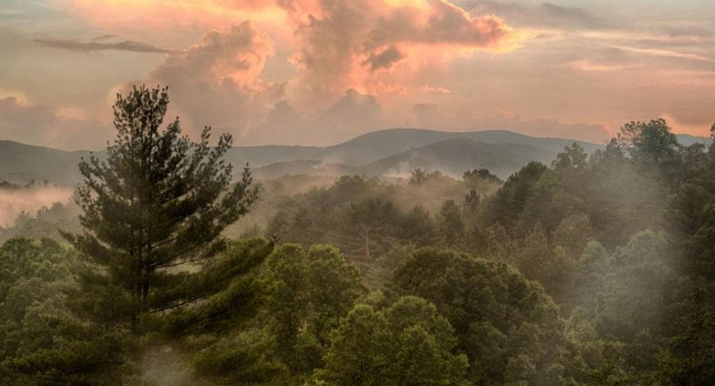 A serene landscape features rolling hills and a dense forest, with a colorful sky illuminated by the setting sun. Wisps of fog envelop the treetops, enhancing the tranquil atmosphere as mountains rise in the distance.