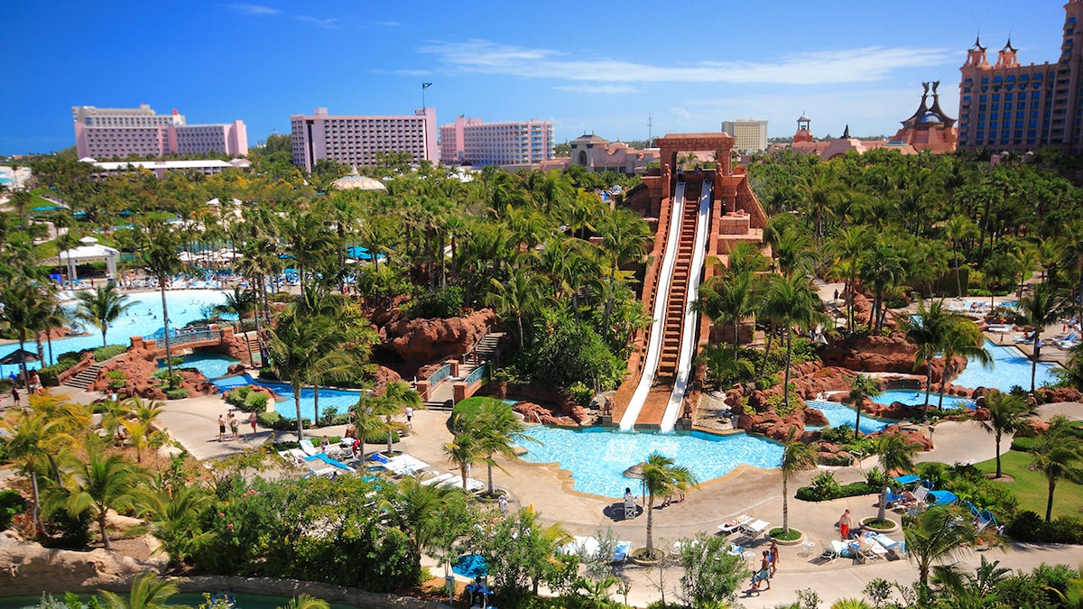A vibrant resort landscape is showcased, featuring sprawling pools and lush palm trees. A water slide emerges from a structured rock formation, inviting guests to enjoy the serene atmosphere. Sun loungers are arranged around the pools, complementing the lively setting.