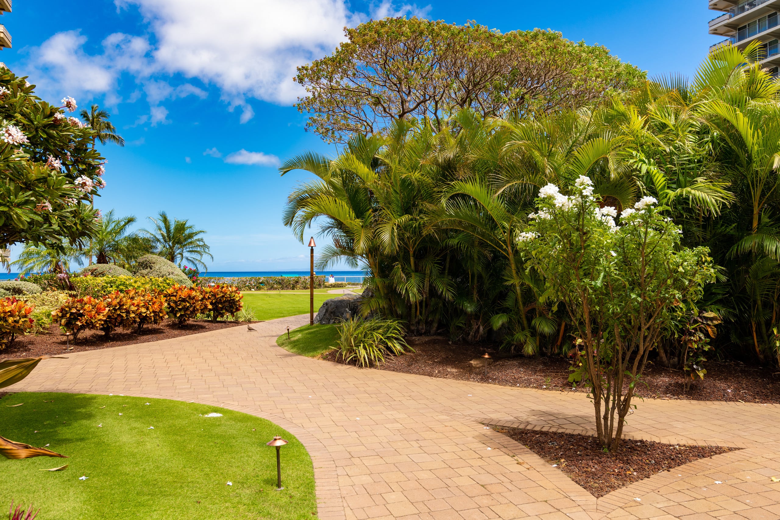 Ocean View steps from beach, dining, shopping 559 - Image 44