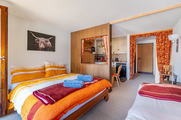 Resort Studio|balcony View Nextgondola+bbq+parking - Frutigen