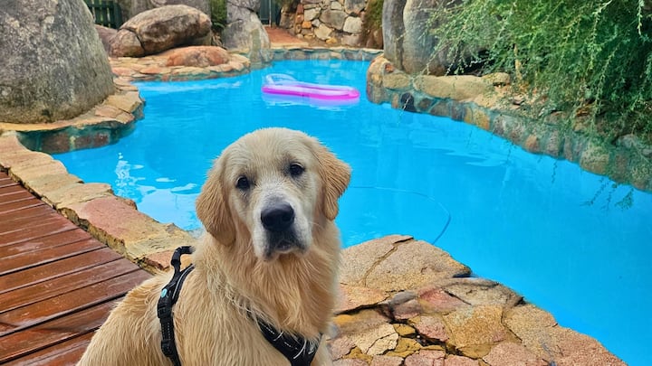 Enclosed Dog‑Friendly Escape with Jacuzzi & Views