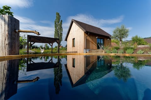 Luxury basement apartment with private hot tub