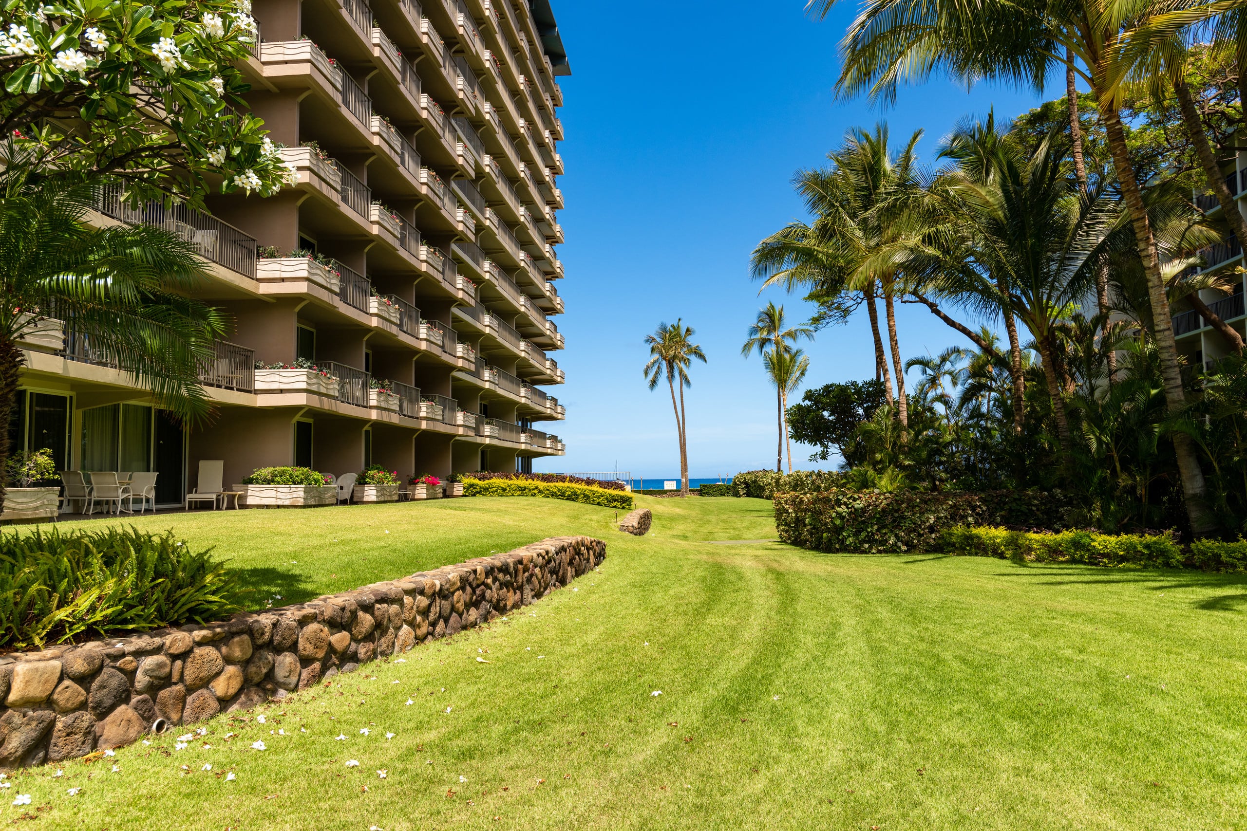 Ocean View steps from beach, dining, shopping 1113 - Image 40