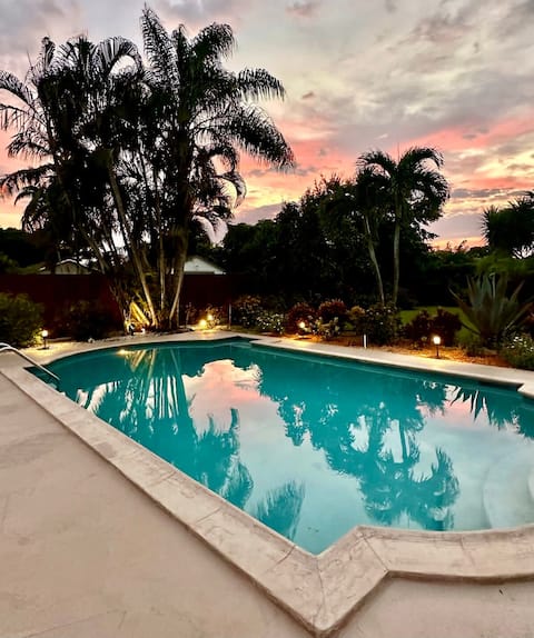 Spectacular Wellington Oasis Breathtaking Gardens