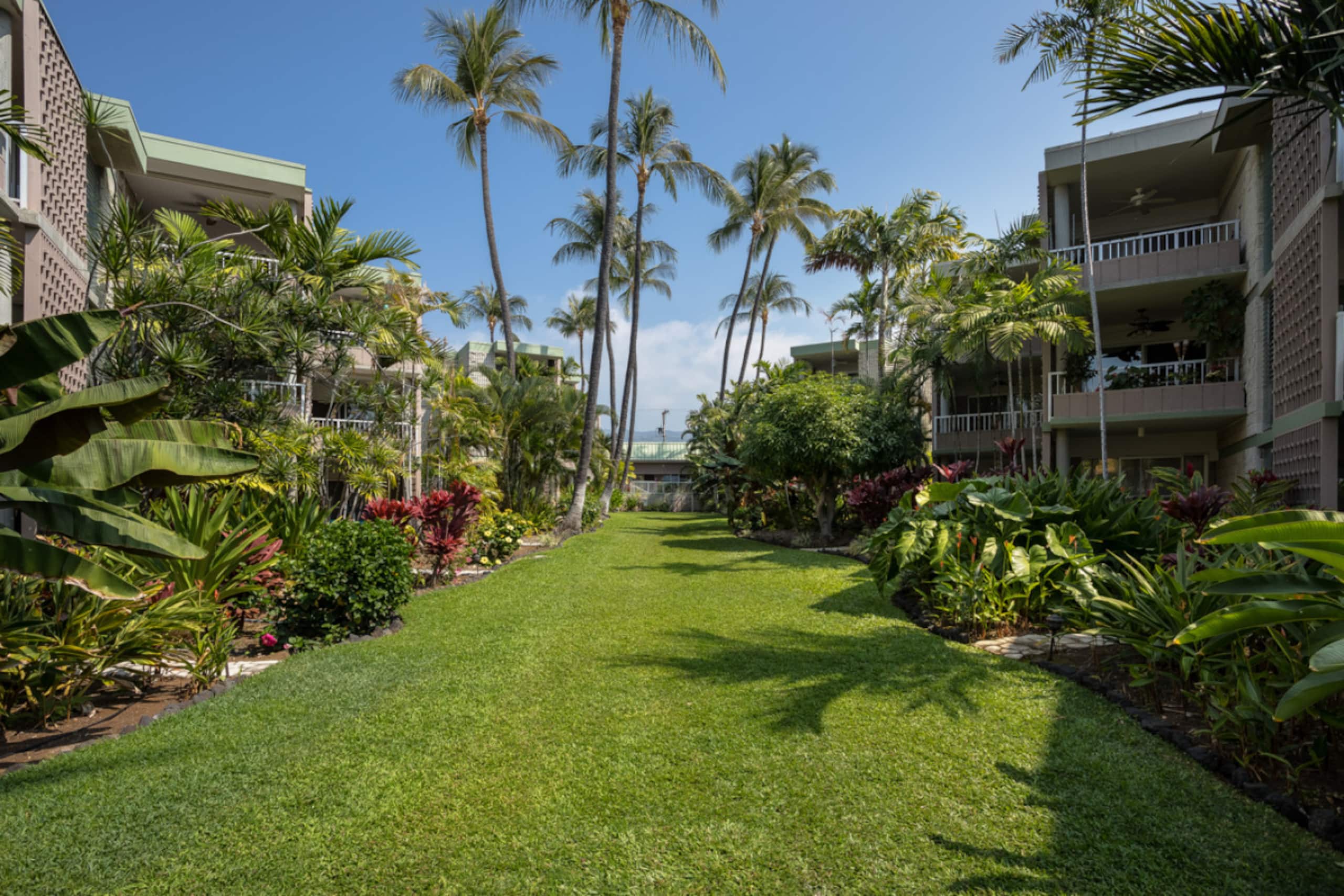 Condo in Kailua-Kona · ★4.74 · 1 bedroom · 2 beds · 1 bath - Image 15