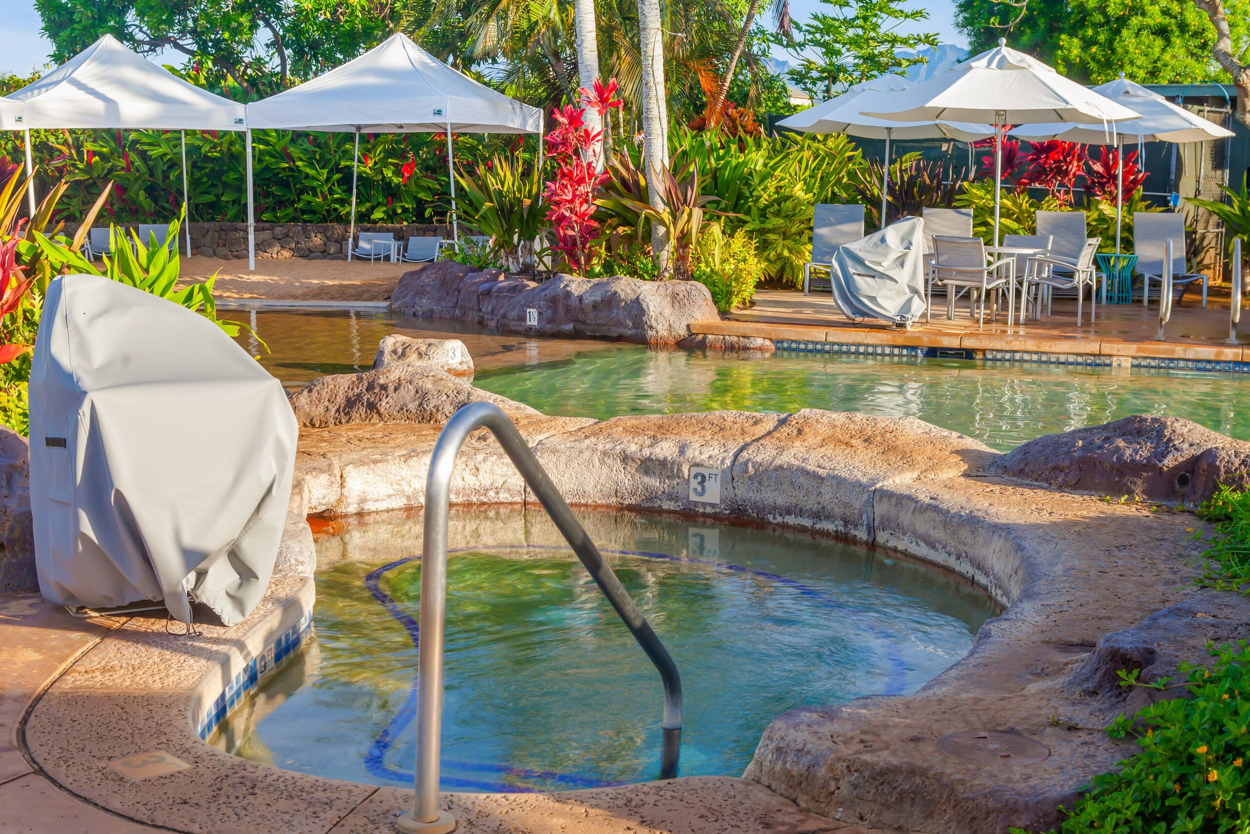 Condo in Koloa · ★4.9 · 1 bedroom · 2 beds · 1.5 baths - Image 39