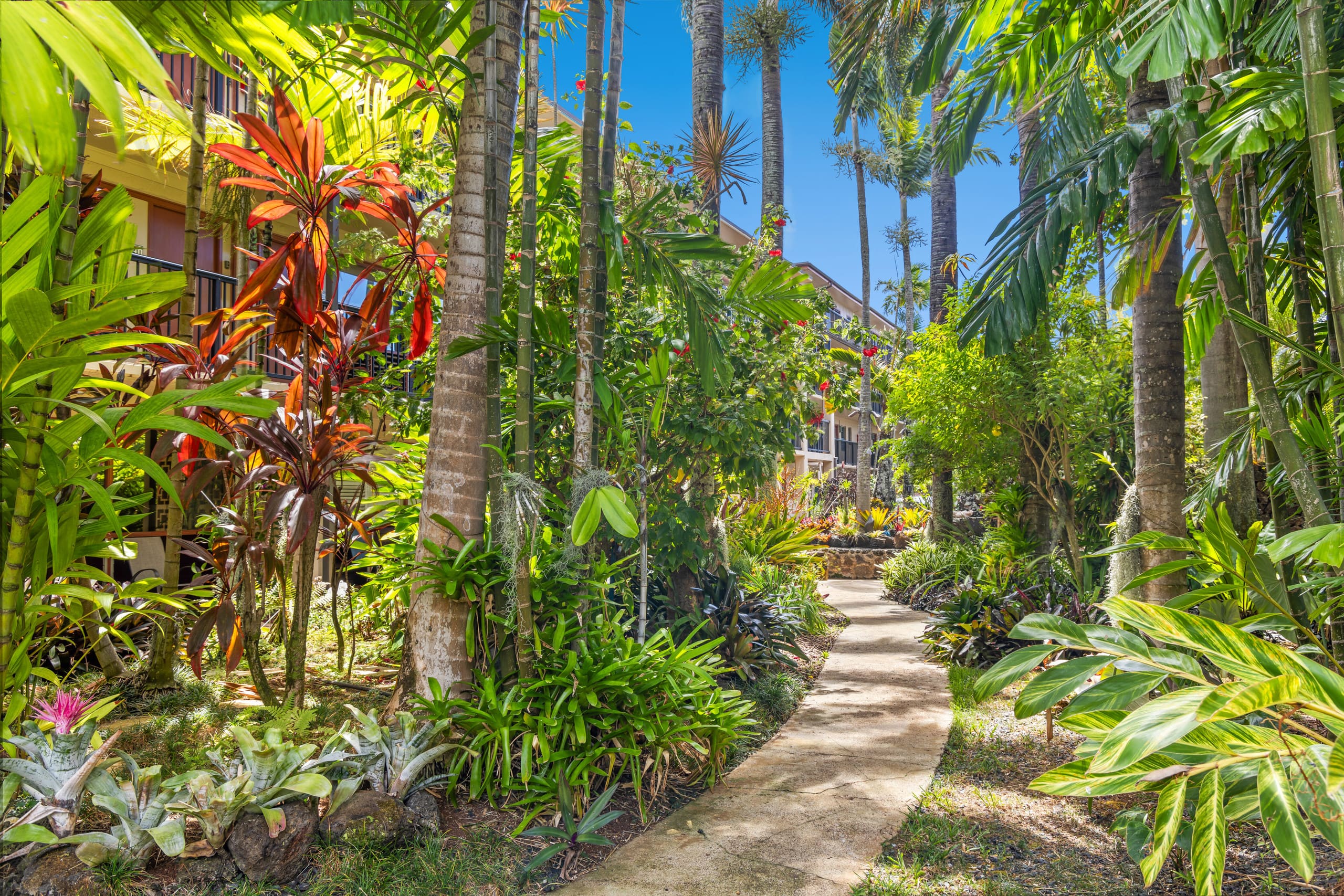 Prince Kuhio 110 - Ground Floor, Two AC - Photo 21