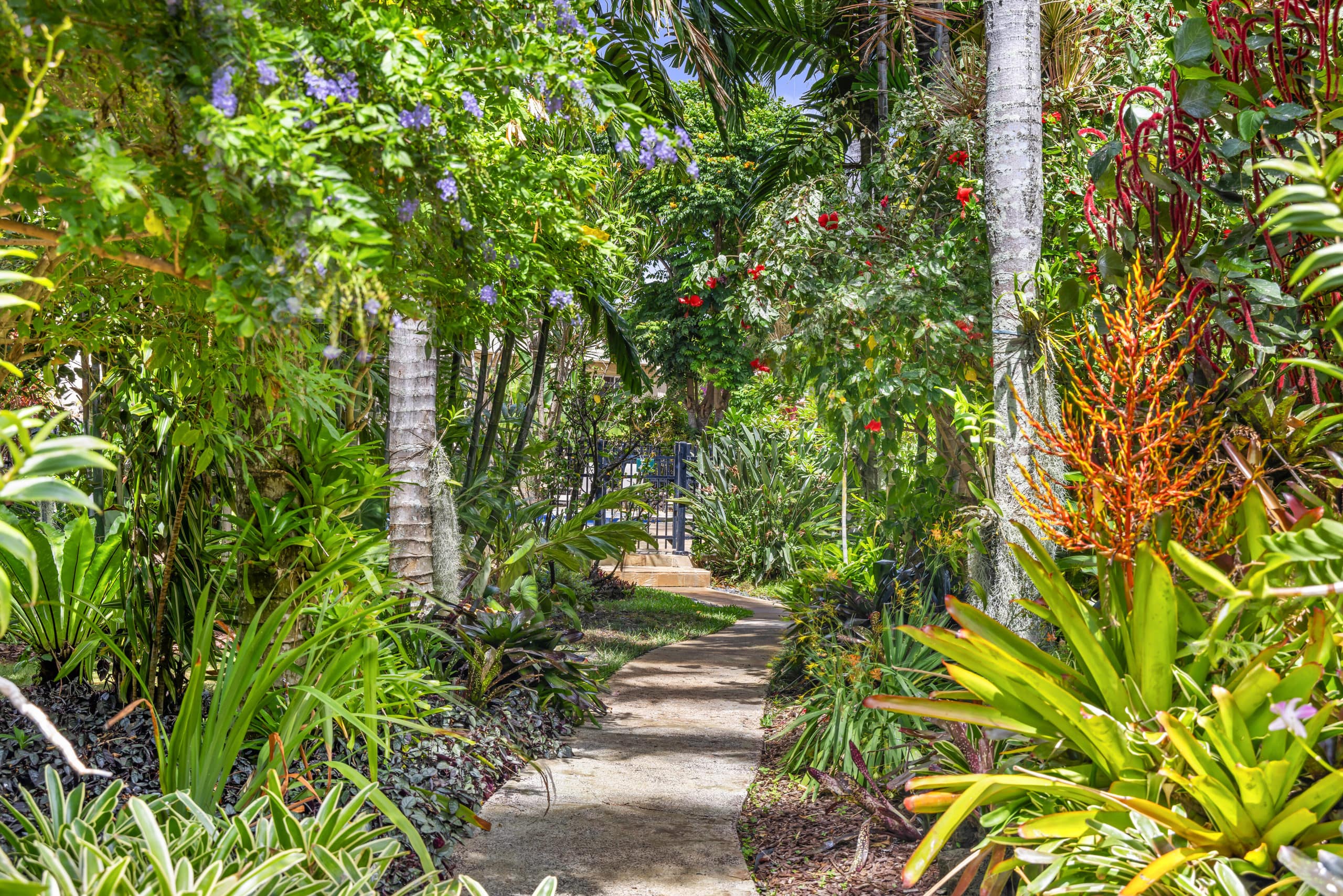 Prince Kuhio 110 - Ground Floor, Two AC - Photo 22