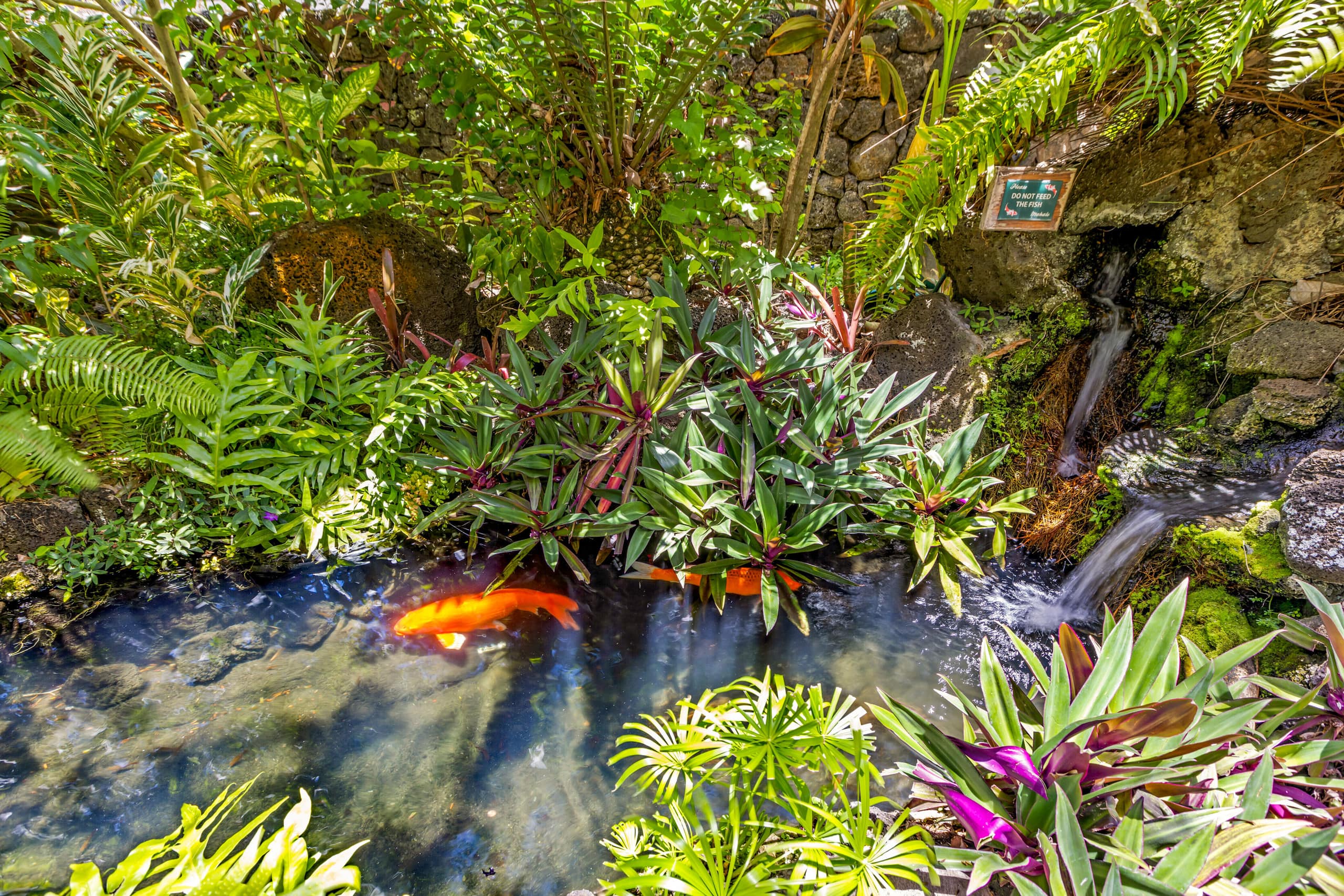 Prince Kuhio 110 - Ground Floor, Two AC - Photo 26