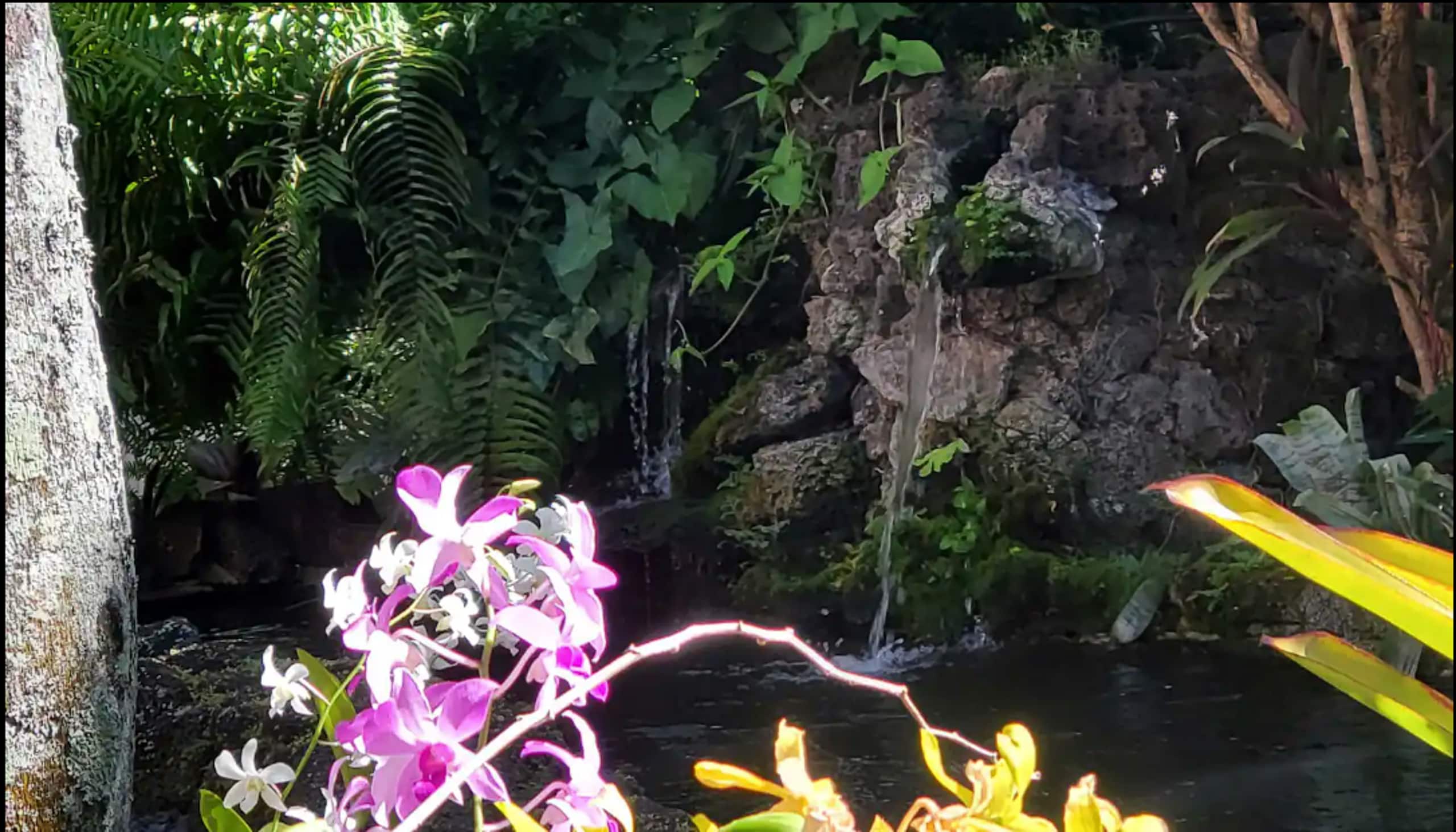 Prince Kuhio 110 - Ground Floor, Two AC - Photo 45