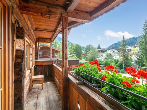 Rustic apartment, only 100m to the ski bus