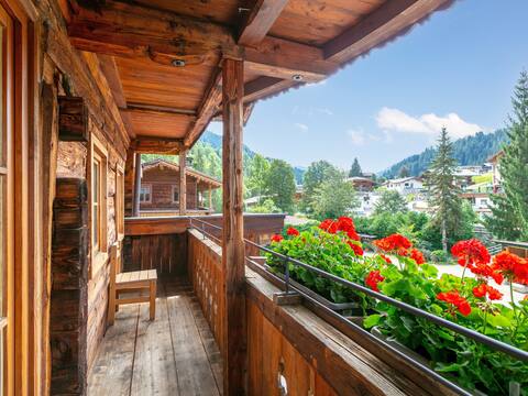 Rustic apartment, only 100m to the ski bus