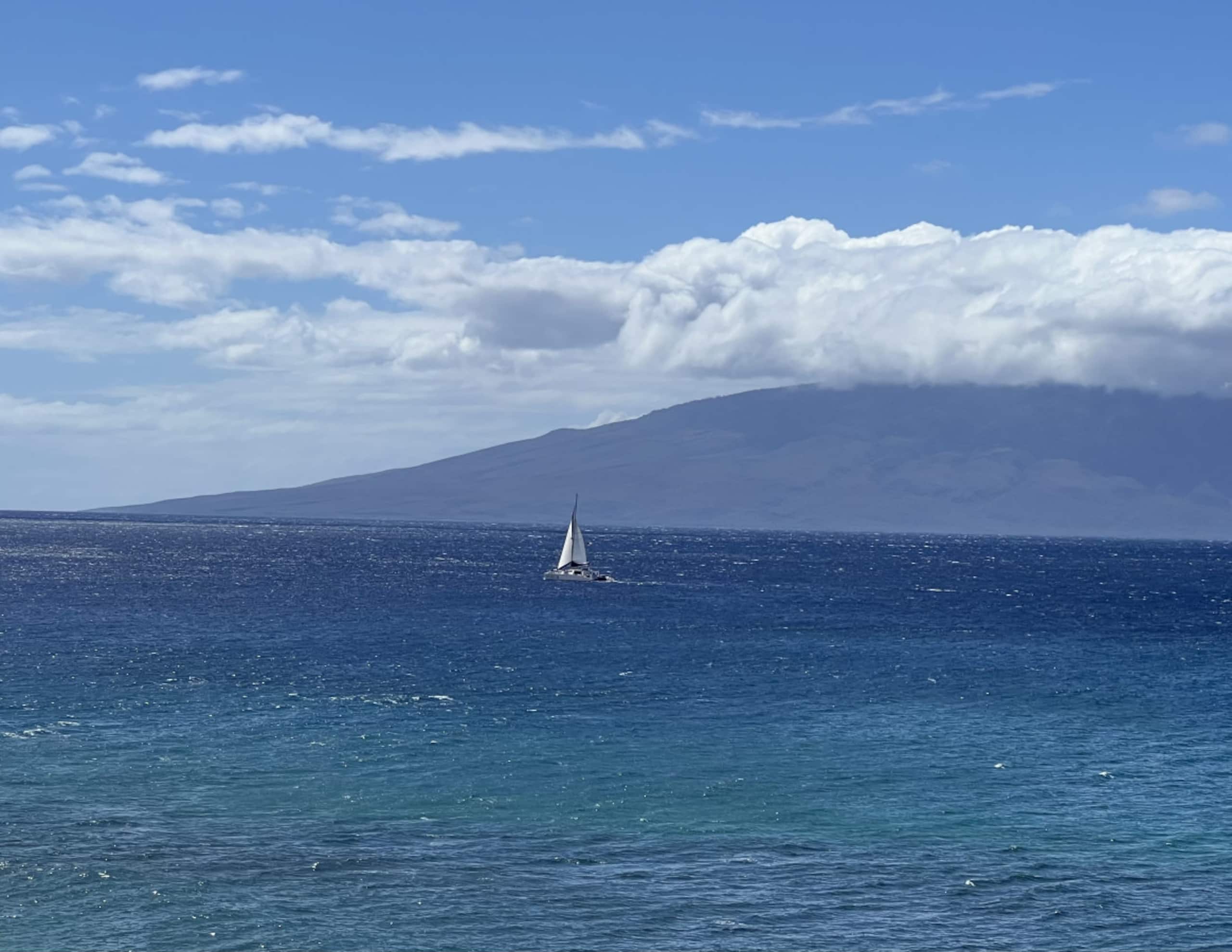 Condo in Lahaina · ★4.9 · 1 bedroom · 2 beds · 2 baths - Image 46
