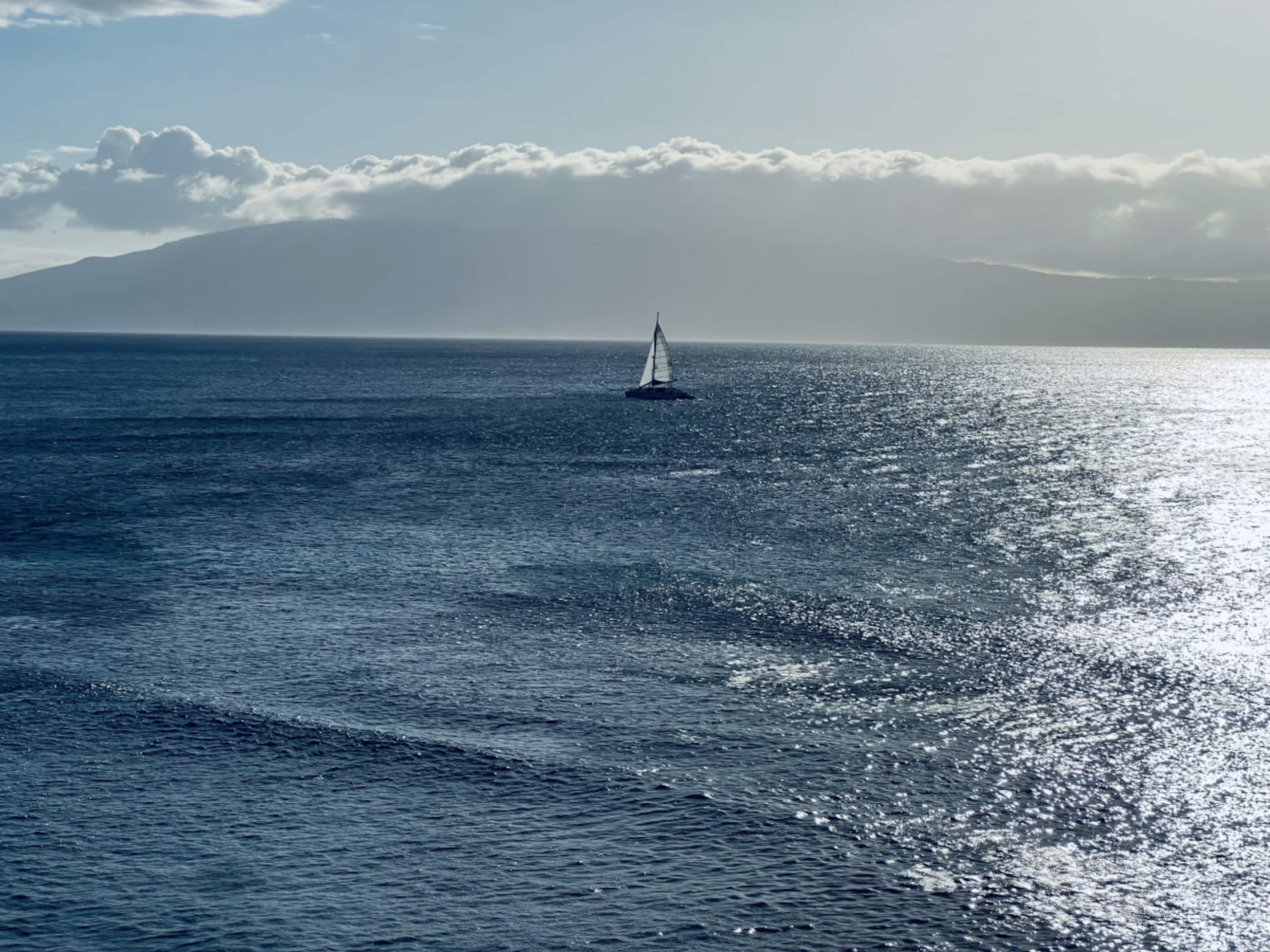 Condo in Lahaina · ★4.9 · 1 bedroom · 2 beds · 2 baths - Image 45