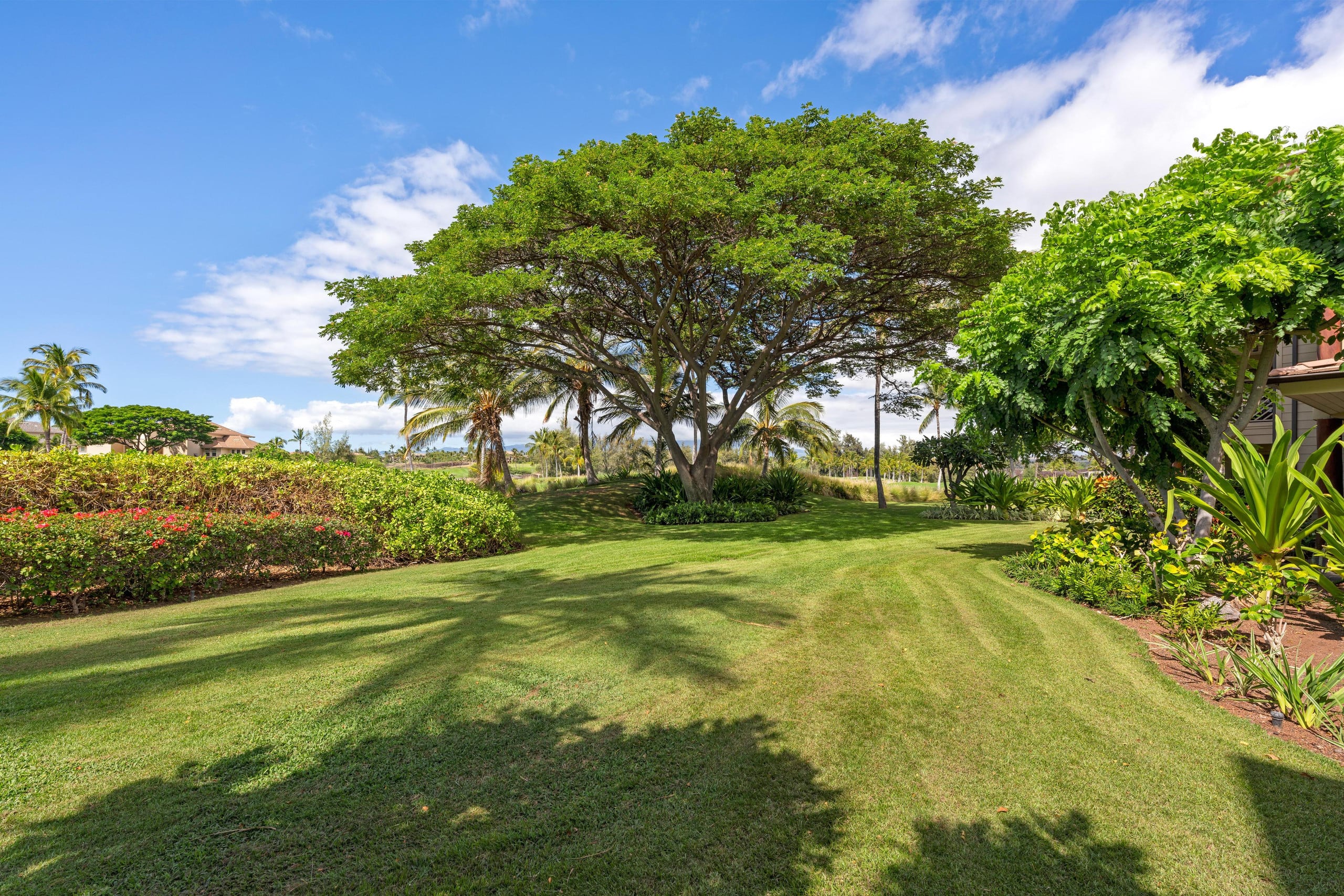 Hilton Waikoloa Pool Pass for 2026/Waikoloa Golf - Photo 56