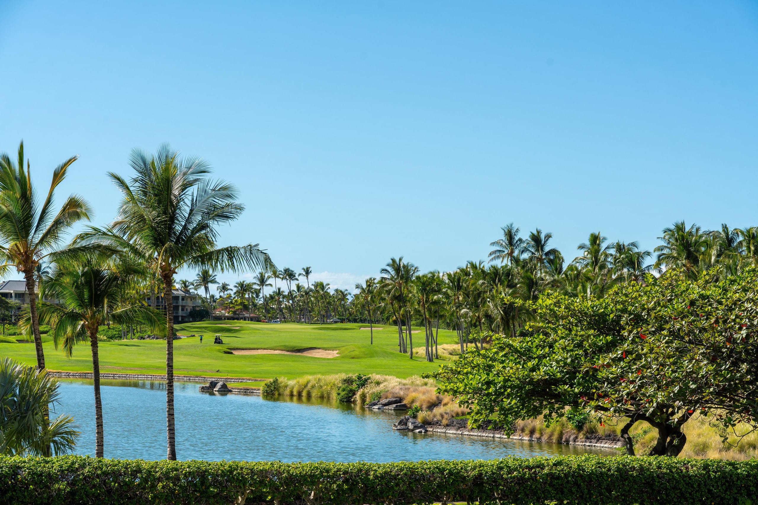 Hilton Waikoloa Pool Pass for 2026/Waikoloa Golf - Photo 59