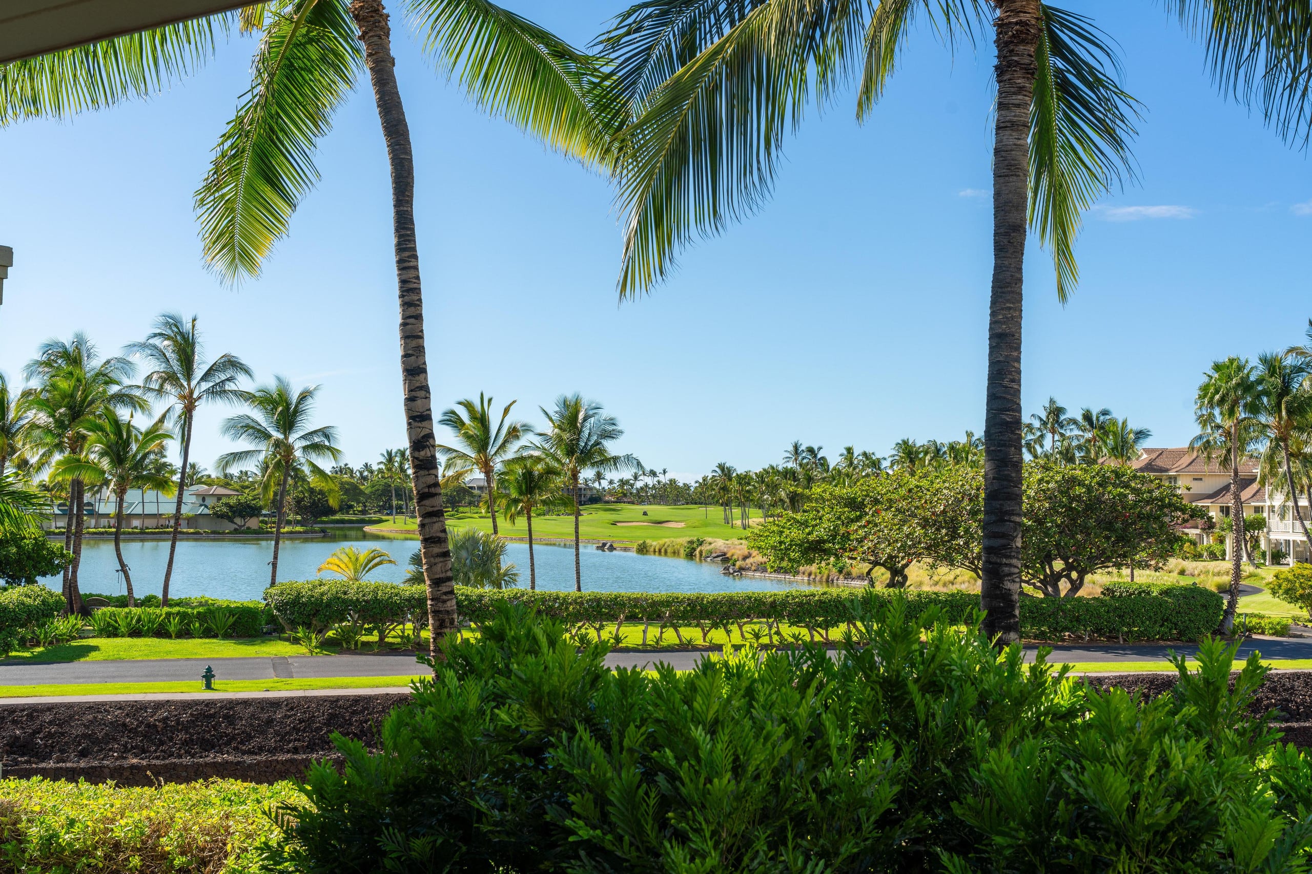 Hilton Waikoloa Pool Pass for 2026/Waikoloa Golf - Photo 58