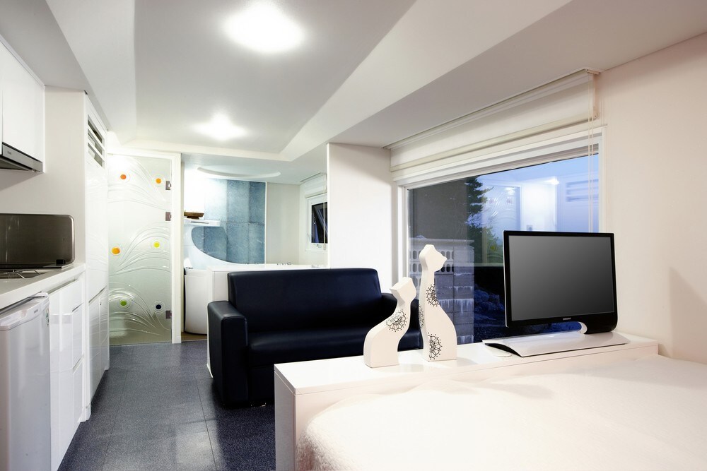 A spacious studio layout is showcased, featuring a comfortable couch, a sleek television, and a well-equipped kitchen area. Natural light fills the room through large windows, complemented by modern decor elements, including a unique vase on the table. A glimpse of the spa area is seen through a partially frosted glass door.