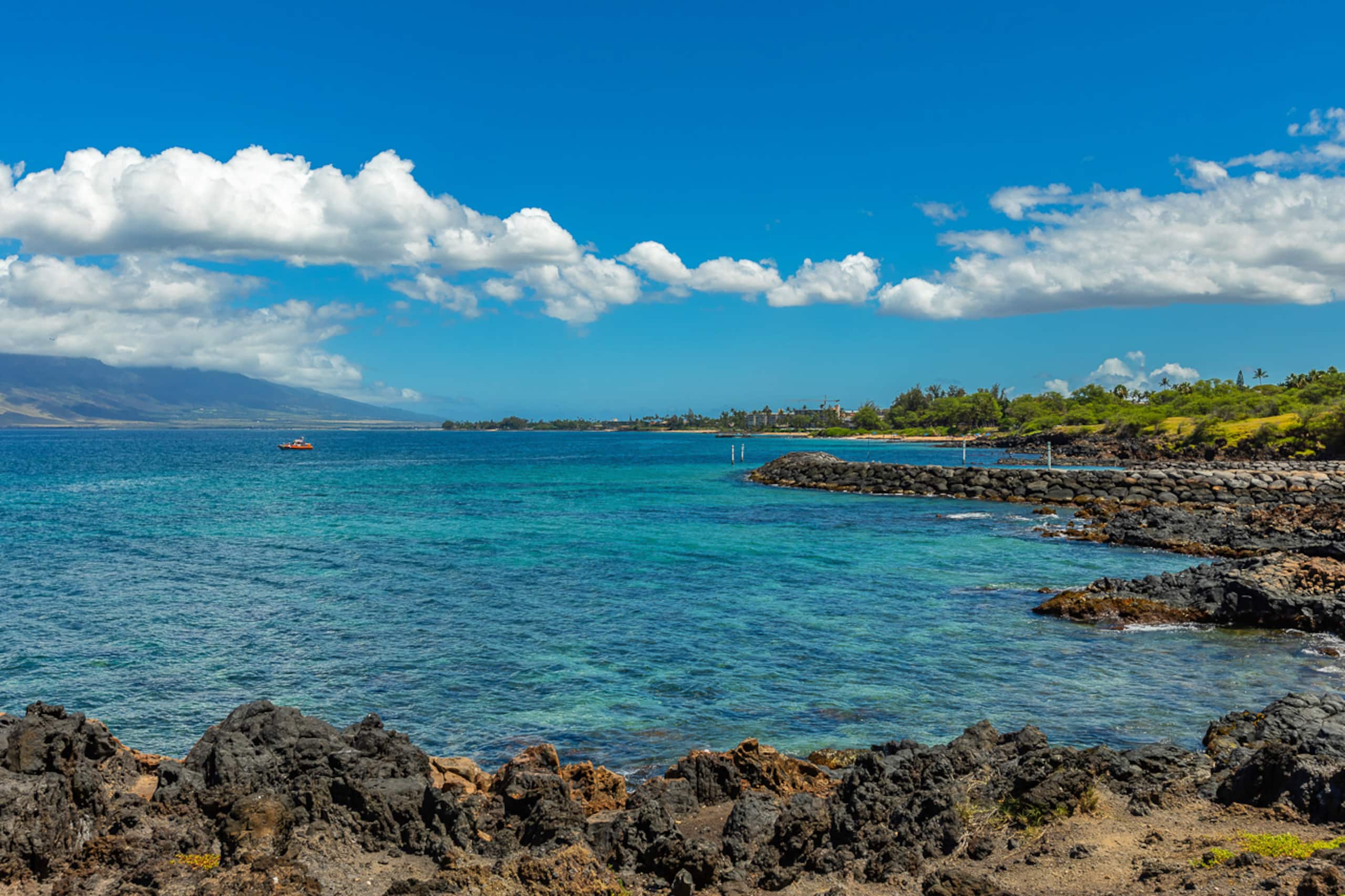 Condo in Kihei · ★4.82 · 1 bedroom · 2 beds · 2 shared baths - Image 47