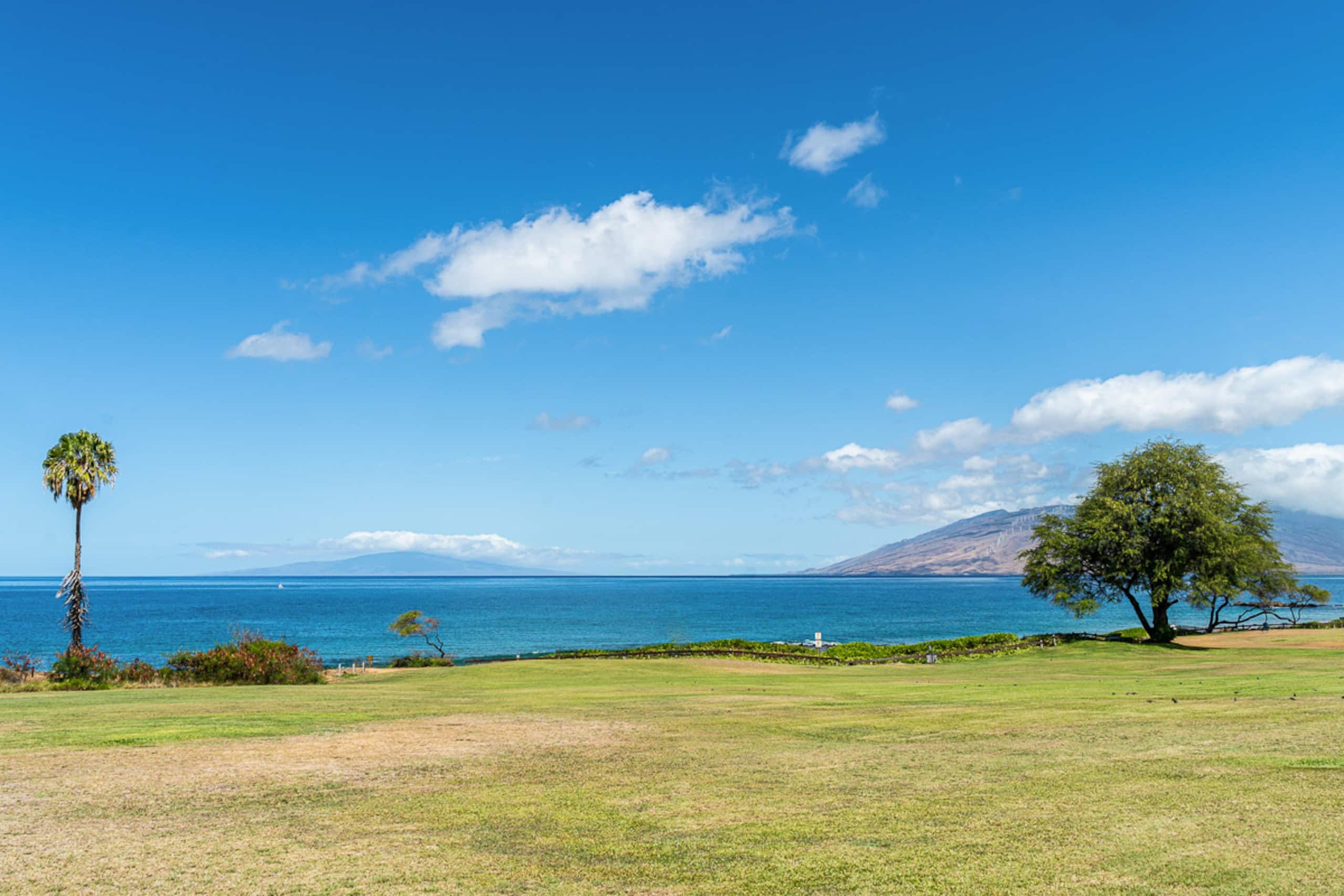 Condo in Kihei · ★4.82 · 1 bedroom · 2 beds · 2 shared baths - Image 50