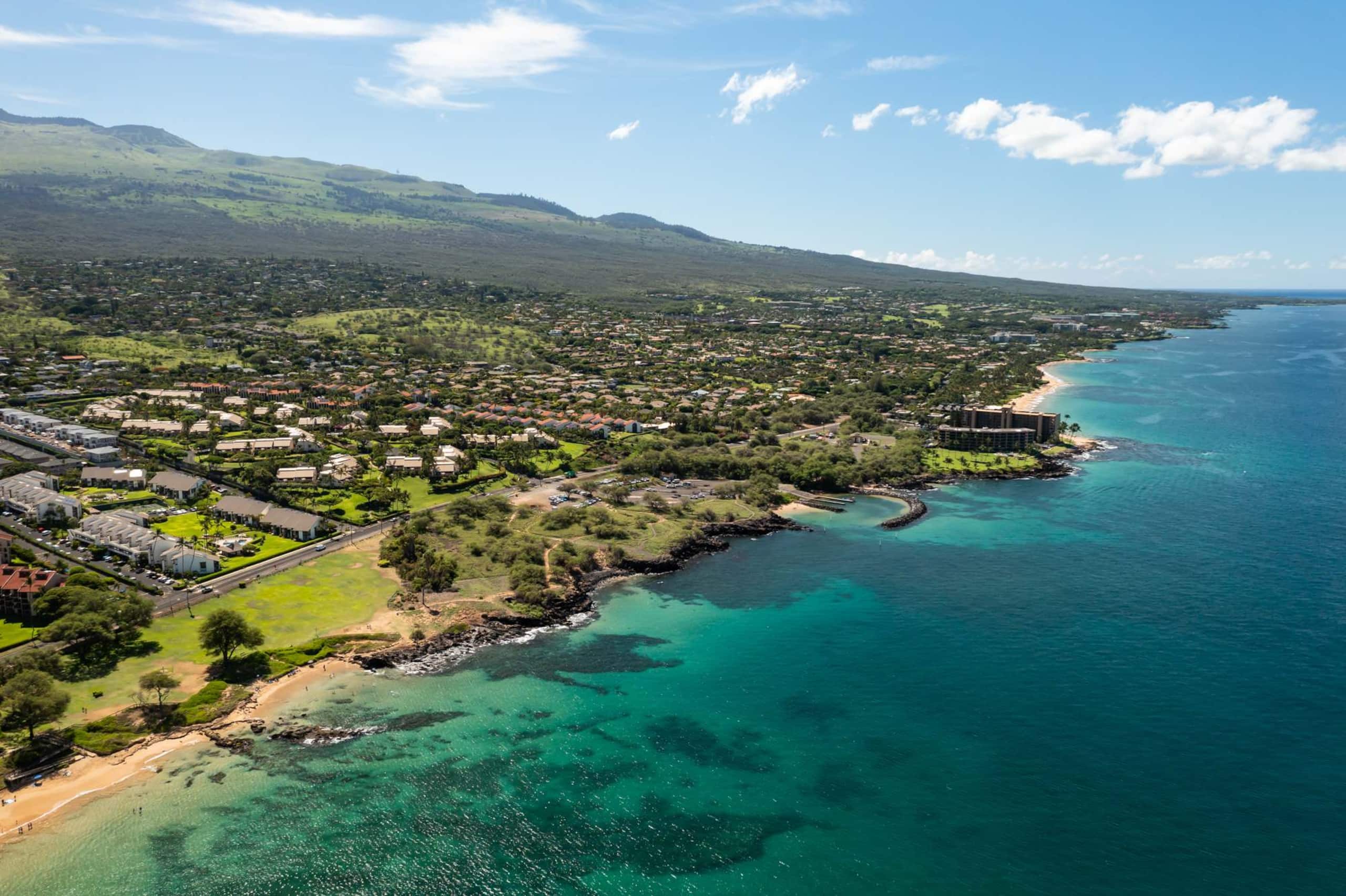 Condo in Kihei · ★4.95 · 2 bedrooms · 3 beds · 2 baths - Image 29