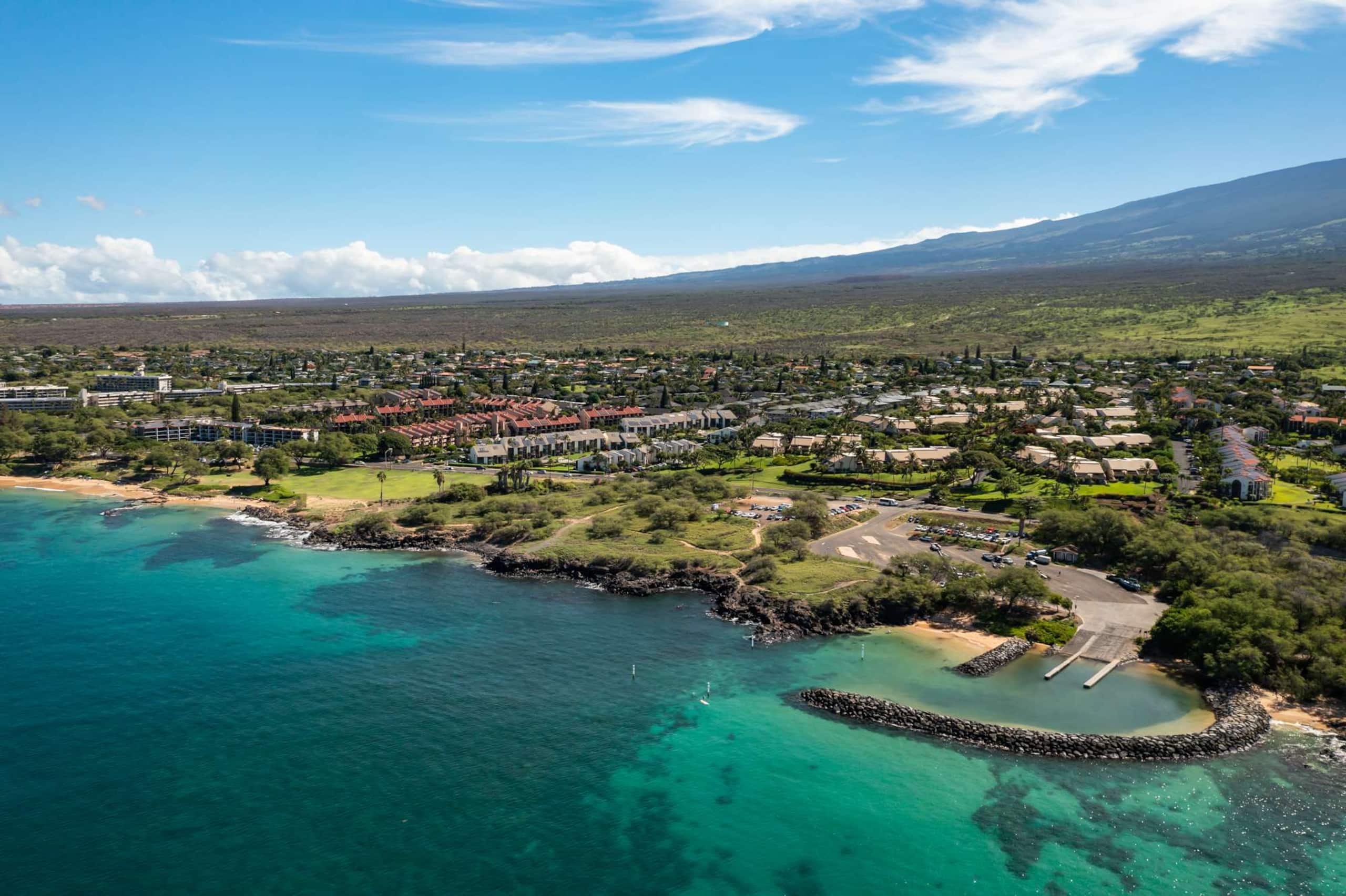 Condo in Kihei · ★4.95 · 2 bedrooms · 3 beds · 2 baths - Image 28