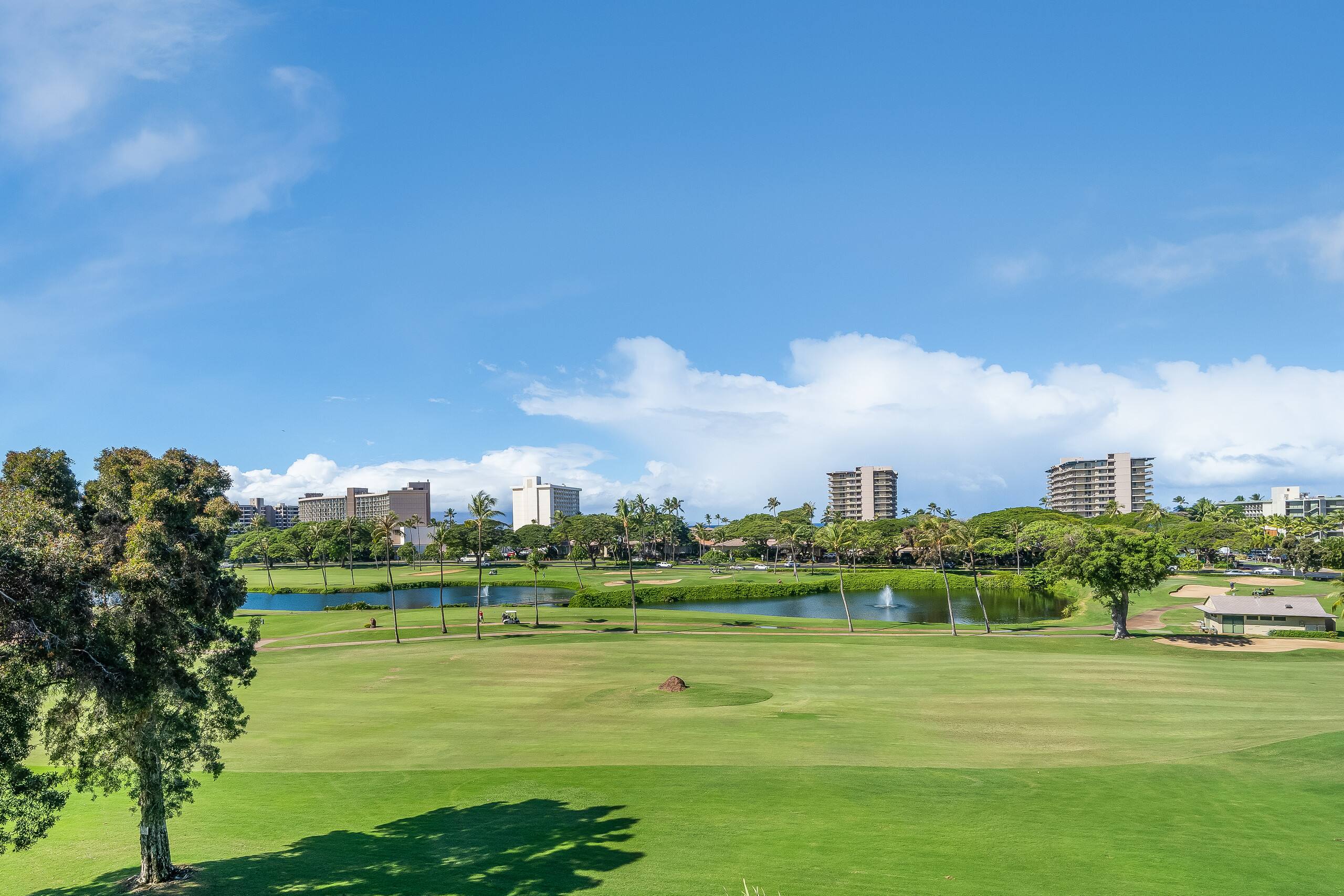 Condo in Lahaina · ★4.89 · 2 bedrooms · 3 beds · 2 baths - Image 31