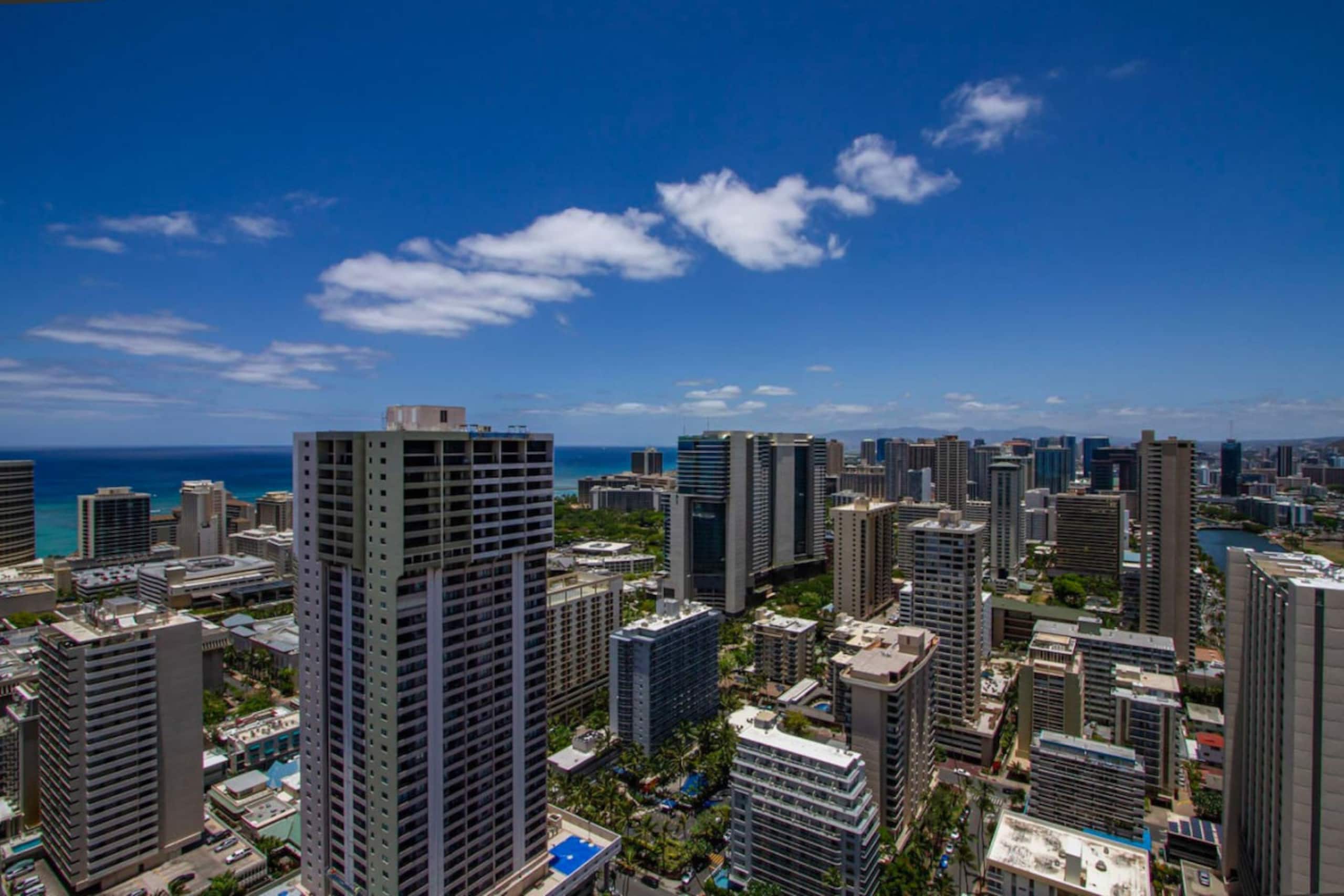 Penthouse Studio w/ Ocean Views | Pool + deck - Image 14