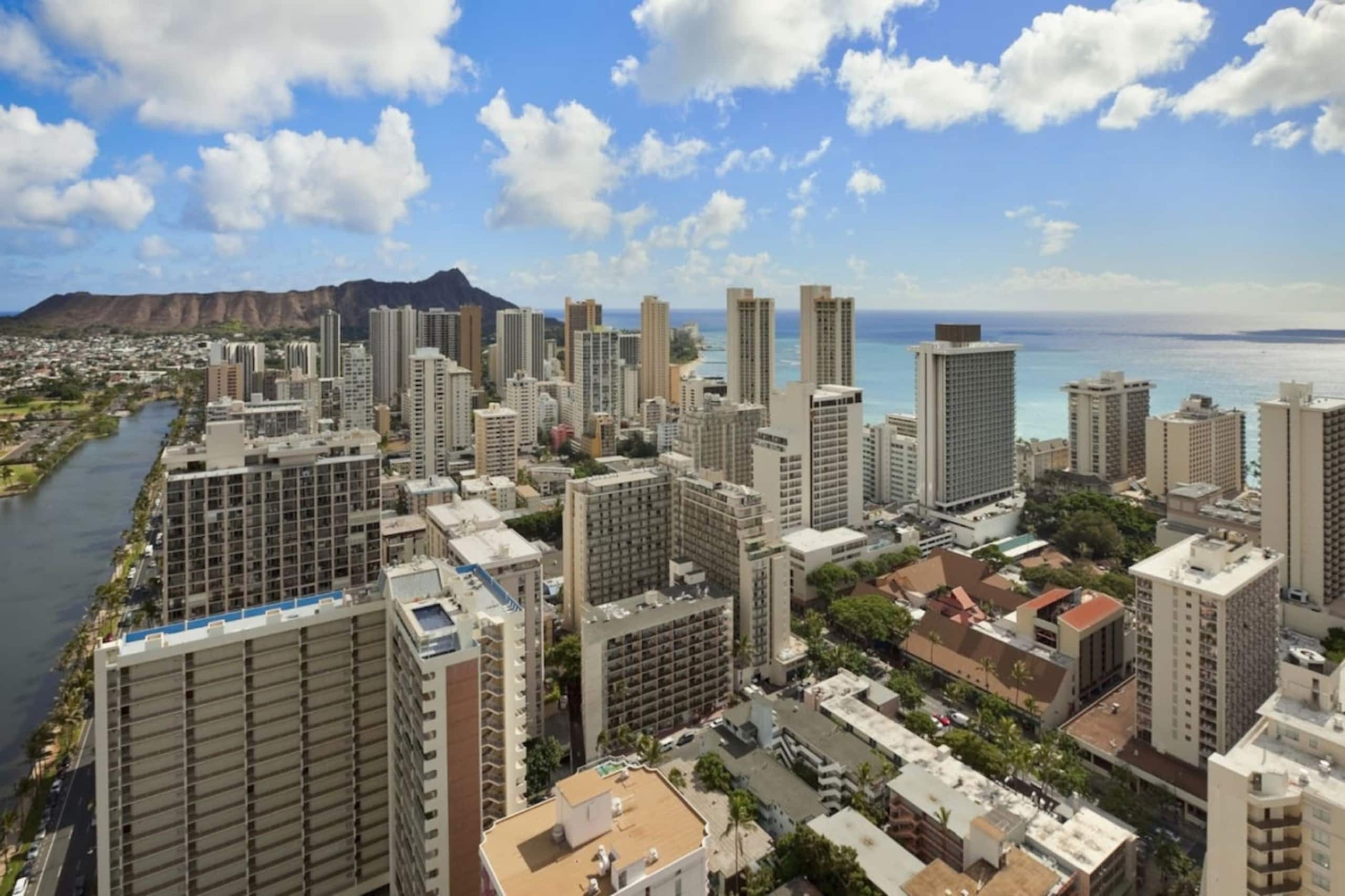 Penthouse Studio w/ Ocean Views | Pool + deck - Image 17