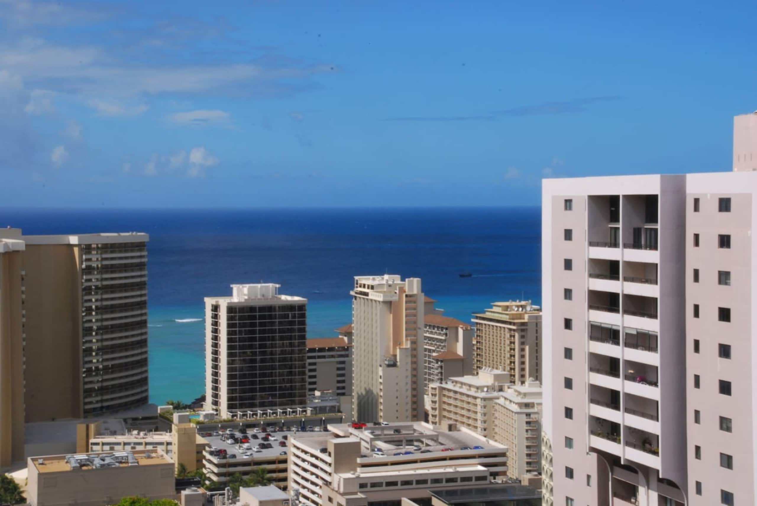 Penthouse Studio w/ Ocean Views | Pool + deck - Image 18