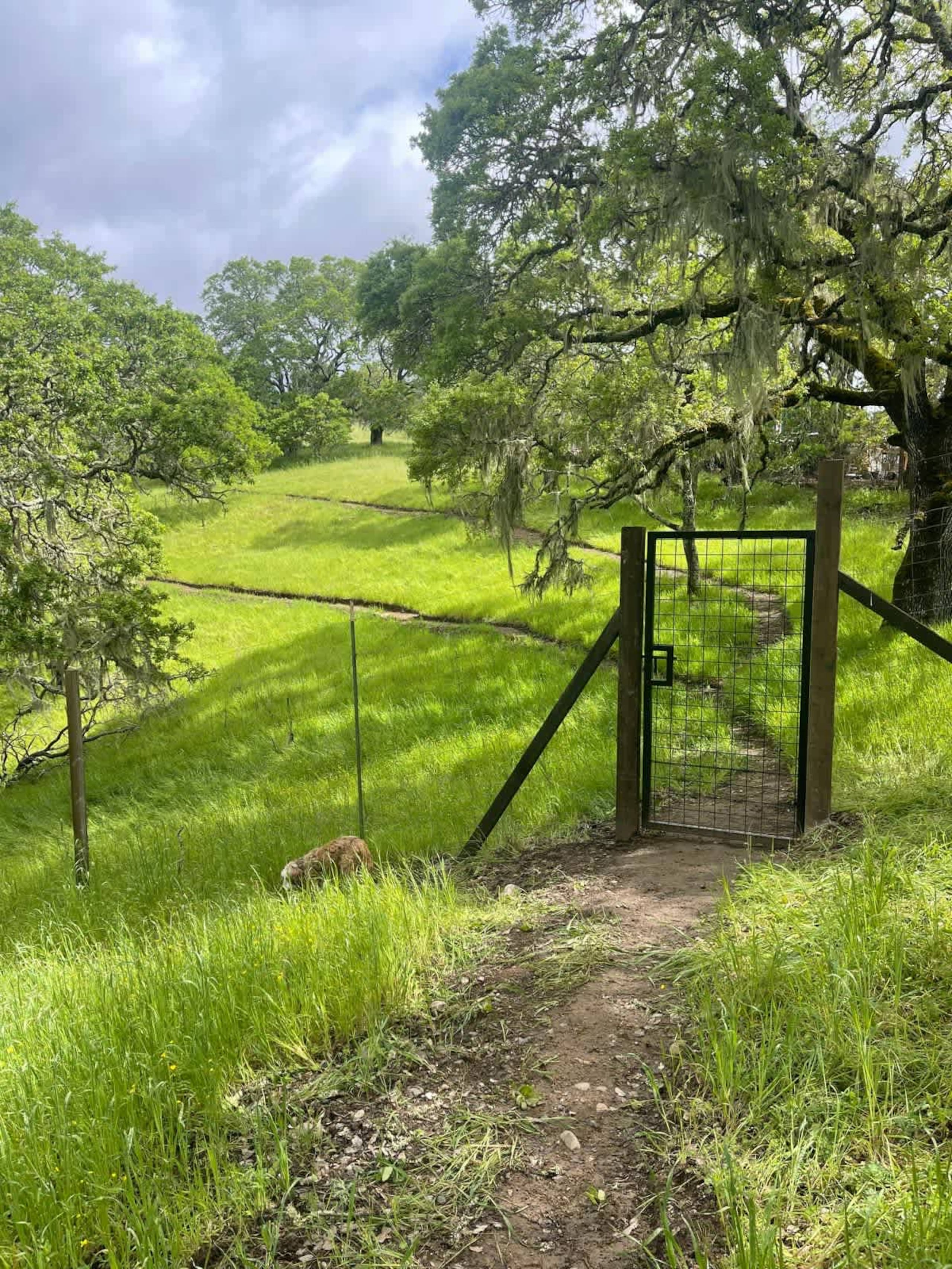 Tula Vista Glass-Walled Wine Country Home - Photo 35