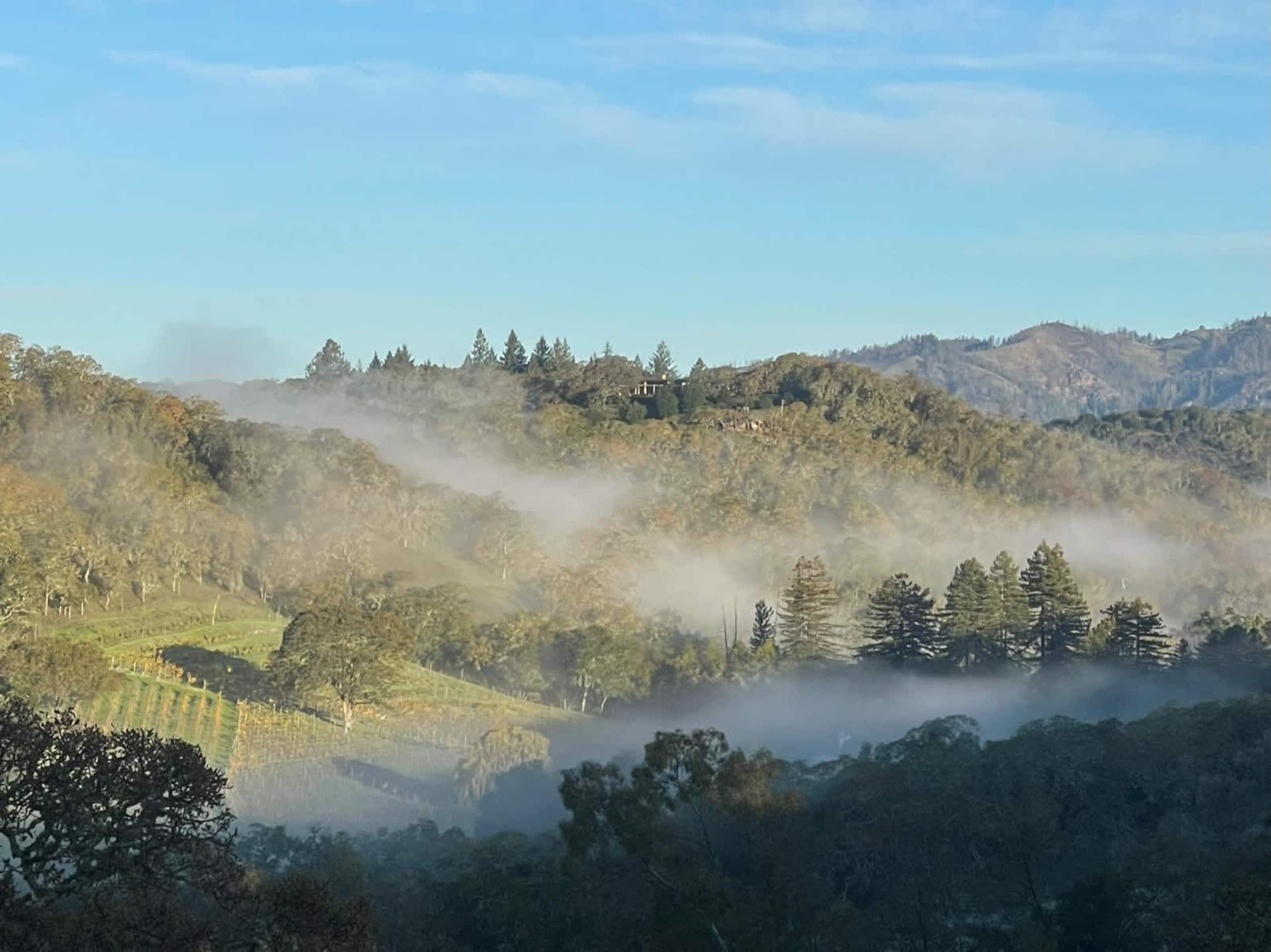Tula Vista Glass-Walled Wine Country Home - Photo 36