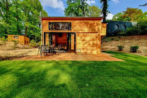 Nice house with pellet stove near Maasduinen